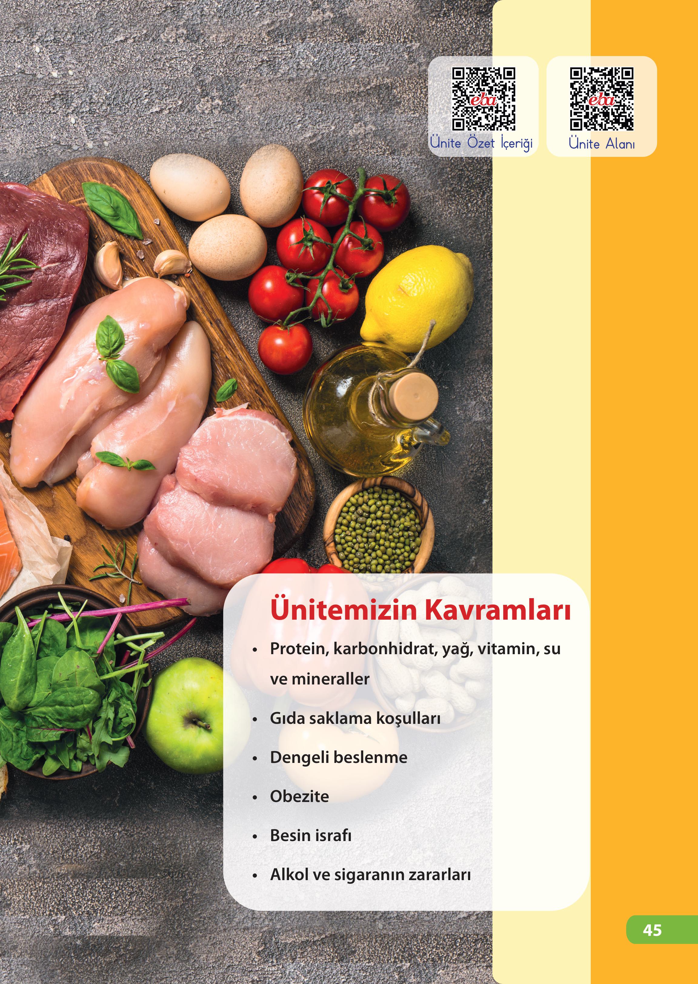 4. Sınıf Meb Yayınları Fen Bilimleri Ders Kitabı Sayfa 45 Cevapları