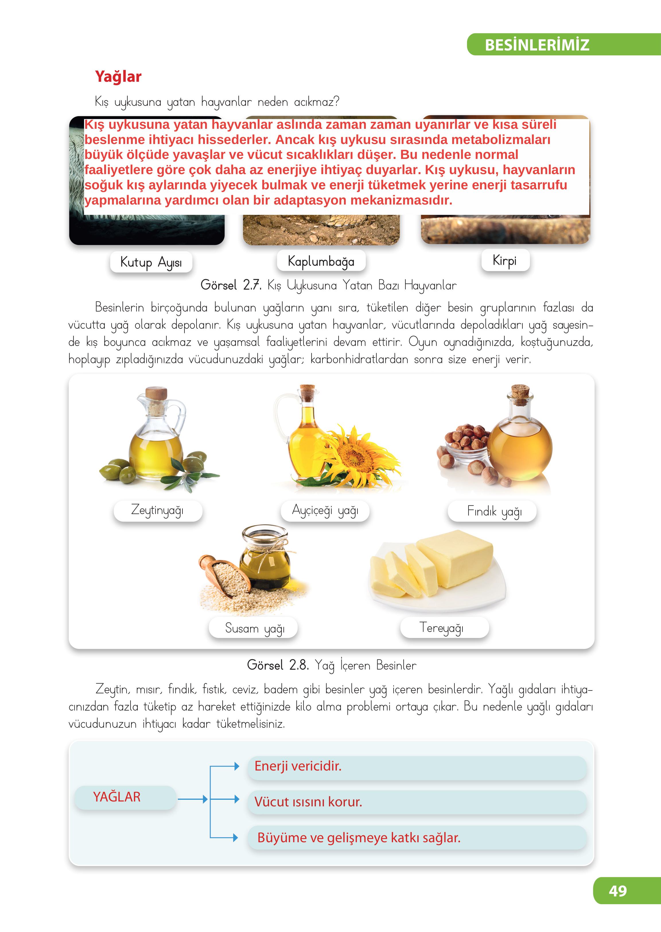 4. Sınıf Meb Yayınları Fen Bilimleri Ders Kitabı Sayfa 49 Cevapları 4. Sınıf Meb Yayınları Fen Bilimleri Ders Kitabı Sayfa 49 Cevapları