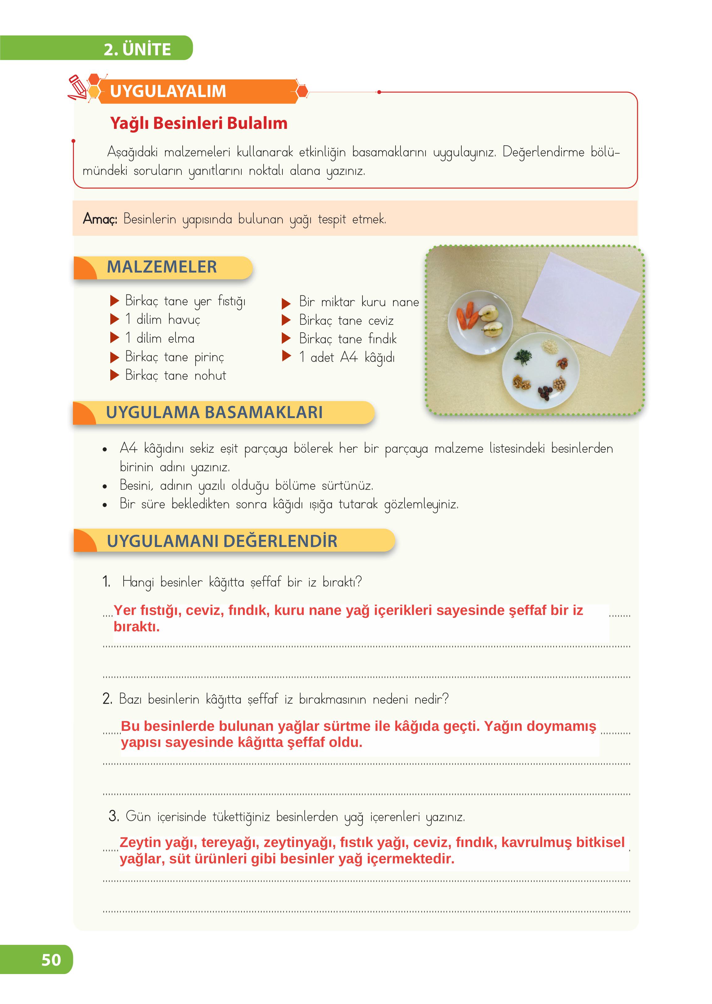 4. Sınıf Meb Yayınları Fen Bilimleri Ders Kitabı Sayfa 50 Cevapları 4. Sınıf Meb Yayınları Fen Bilimleri Ders Kitabı Sayfa 50 Cevapları