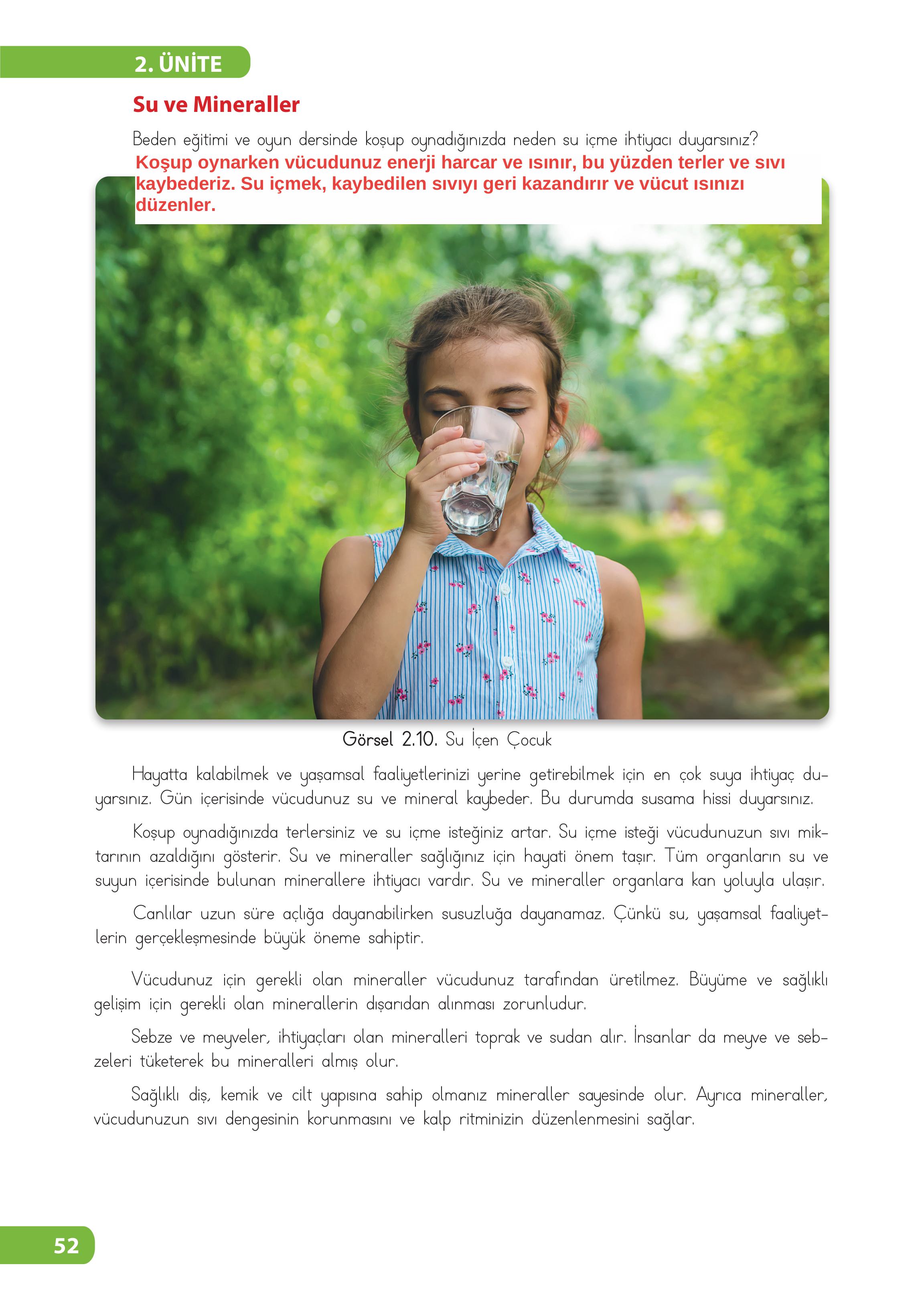 4. Sınıf Meb Yayınları Fen Bilimleri Ders Kitabı Sayfa 52 Cevapları