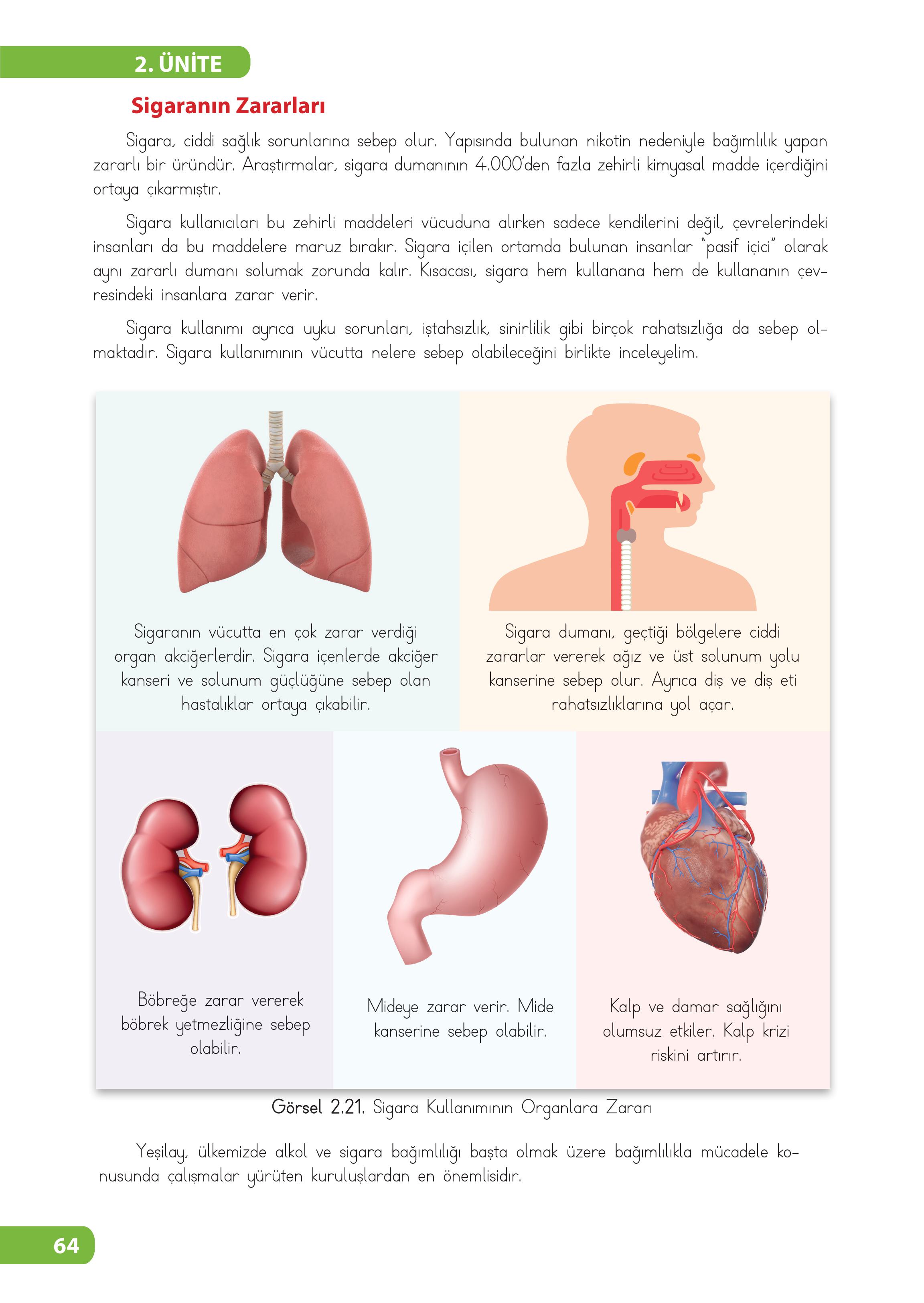 4. Sınıf Meb Yayınları Fen Bilimleri Ders Kitabı Sayfa 64 Cevapları