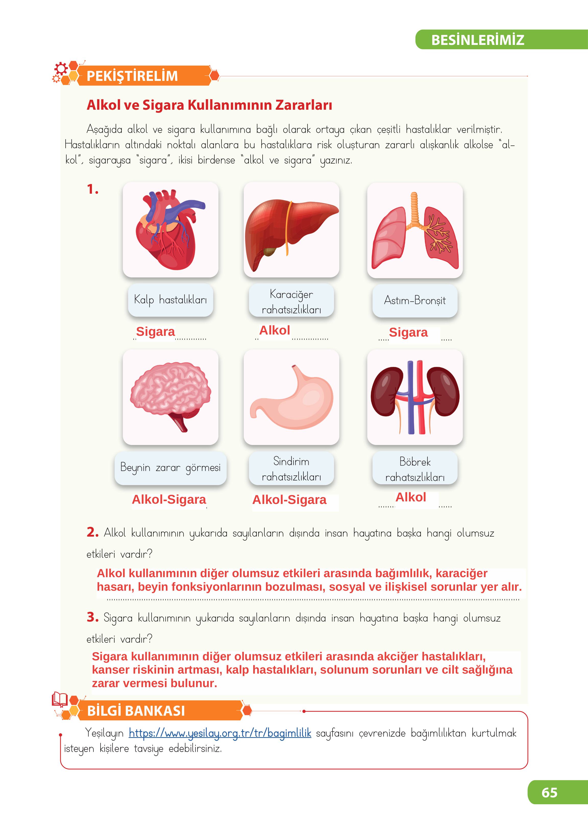 4. Sınıf Meb Yayınları Fen Bilimleri Ders Kitabı Sayfa 65 Cevapları