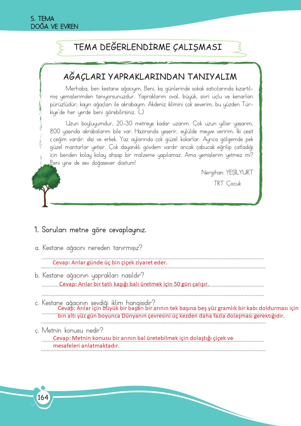 4. Sınıf Meb Yayınları Türkçe Ders Kitabı Sayfa 164 Cevapları