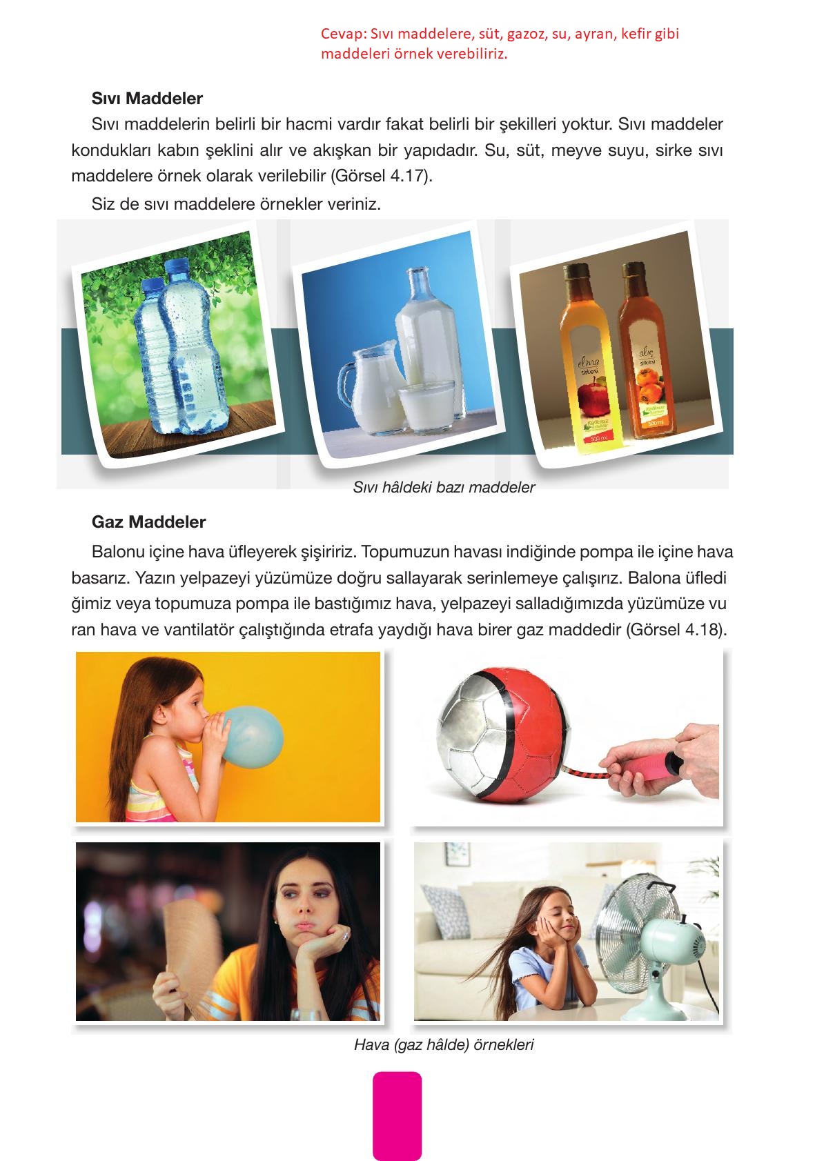 4. Sınıf Pasifik Yayınları Fen Bilimleri Ders Kitabı Sayfa 137 Cevapları