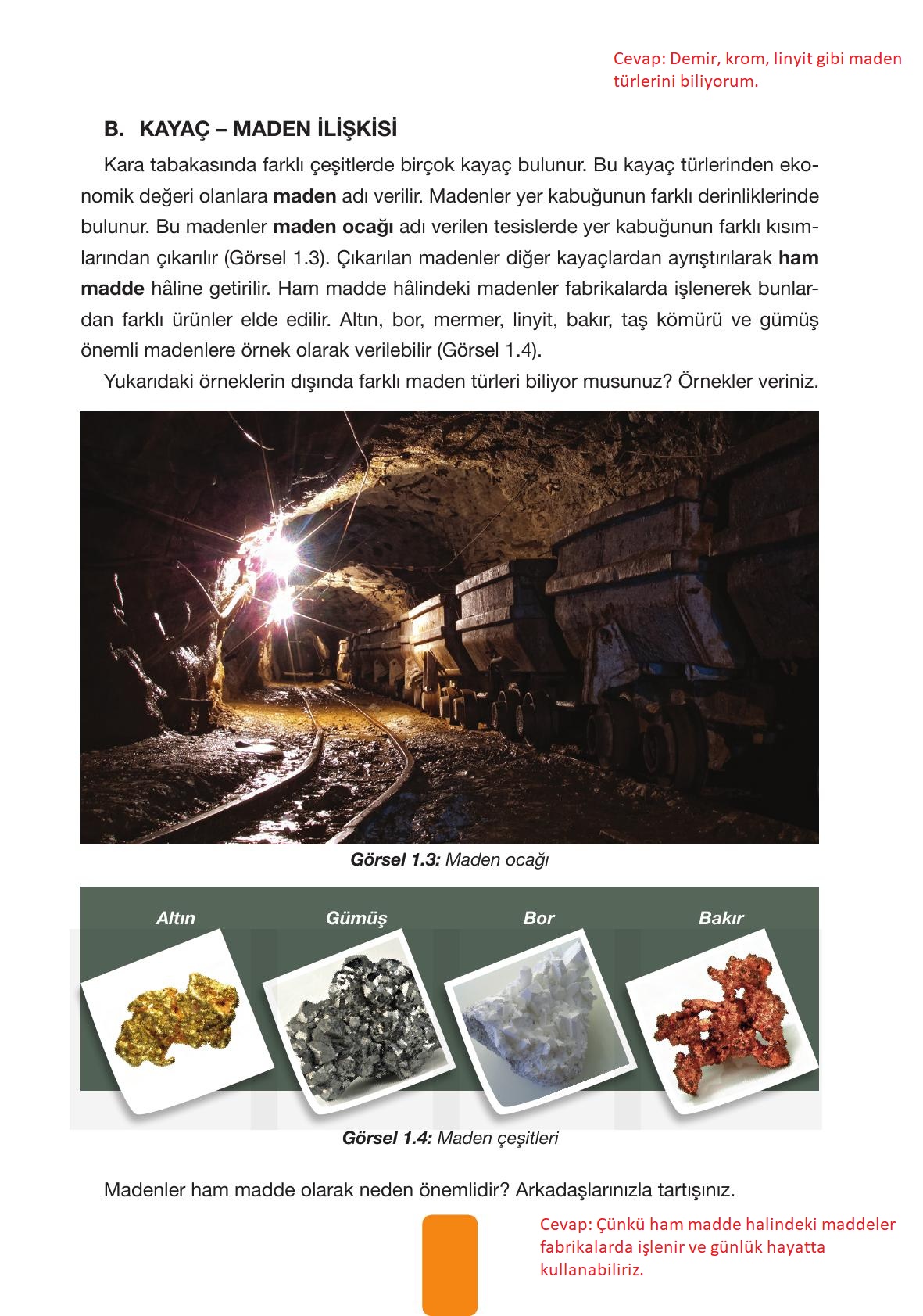 4. Sınıf Pasifik Yayınları Fen Bilimleri Ders Kitabı Sayfa 27 Cevapları