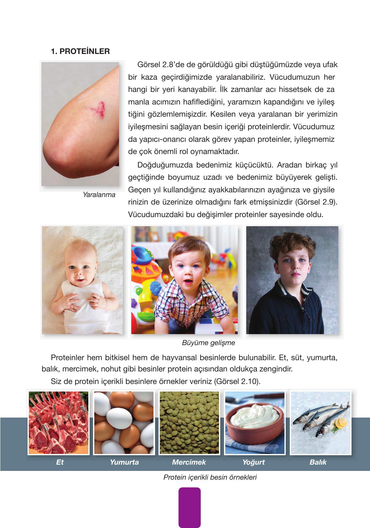 4. Sınıf Pasifik Yayınları Fen Bilimleri Ders Kitabı Sayfa 62 Cevapları