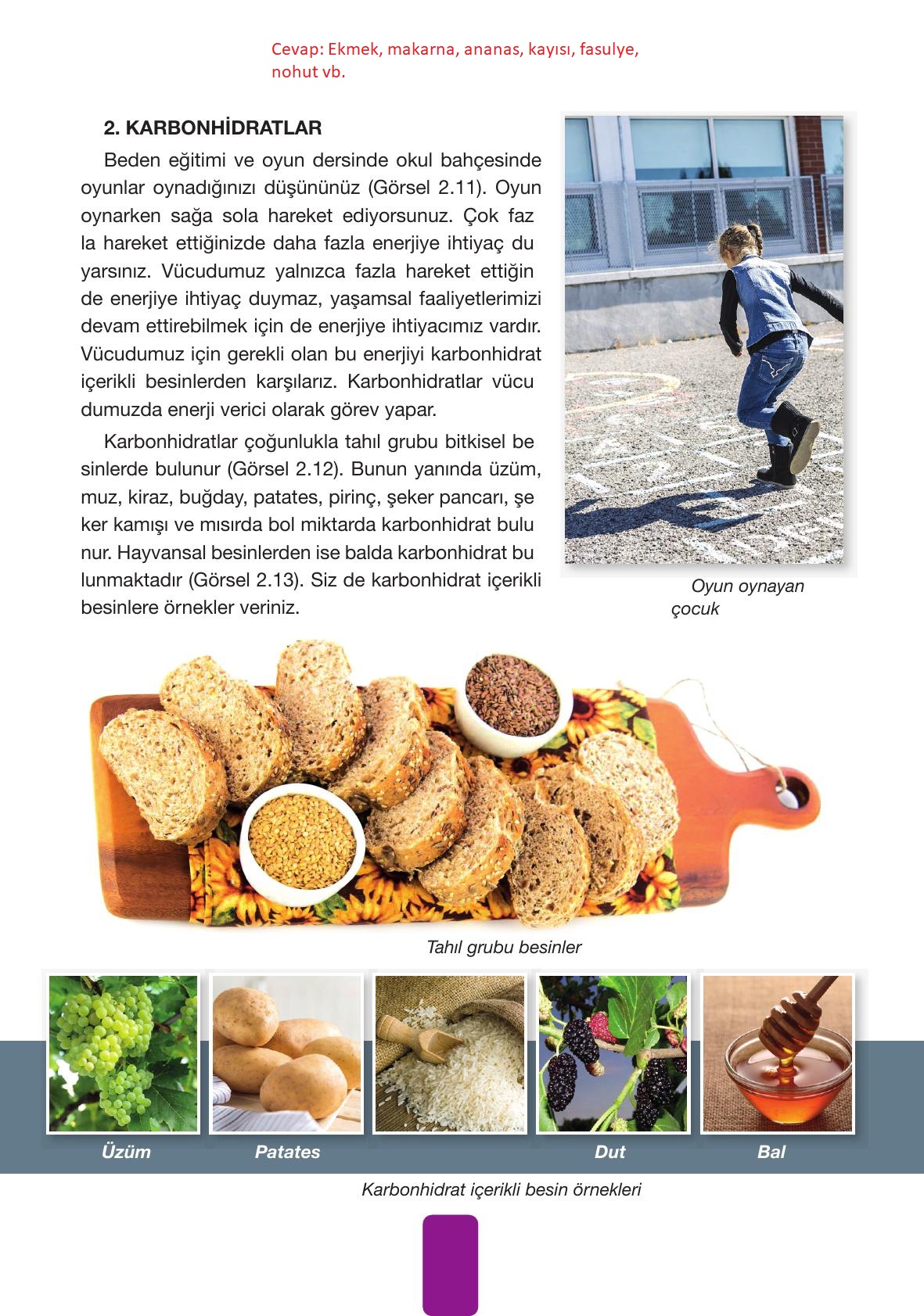 4. Sınıf Pasifik Yayınları Fen Bilimleri Ders Kitabı Sayfa 63 Cevapları 4. Sınıf Pasifik Yayınları Fen Bilimleri Ders Kitabı Sayfa 63 Cevapları