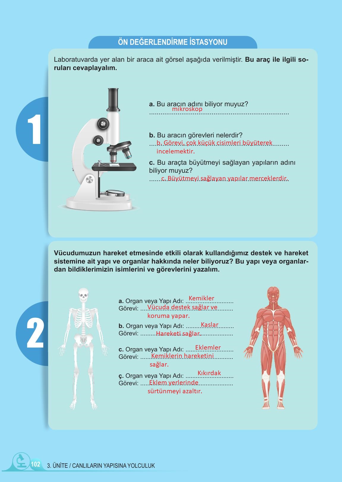 5. Sınıf Meb Yayınları Fen Bilimleri Ders Kitabı 1. Kitap Sayfa 102 Cevapları