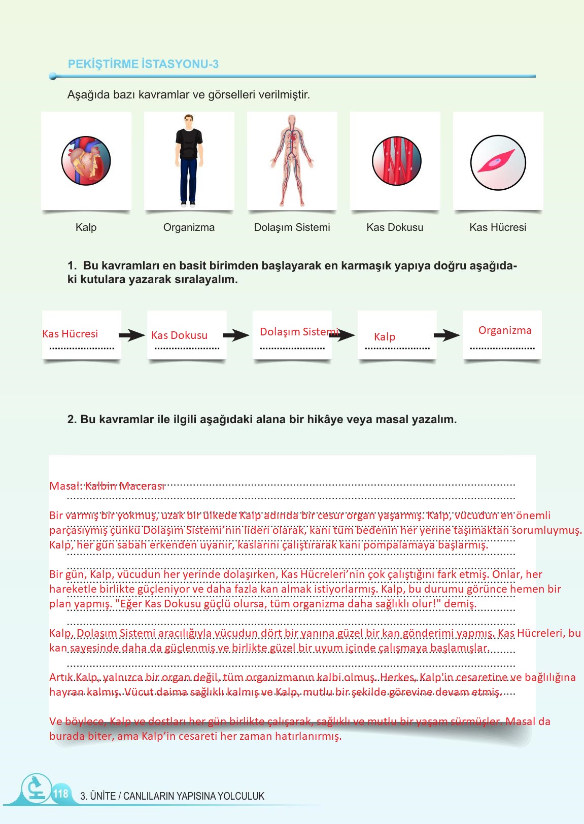 5. Sınıf Meb Yayınları Fen Bilimleri Ders Kitabı 1. Kitap Sayfa 118 Cevapları 5. Sınıf Meb Yayınları Fen Bilimleri Ders Kitabı 1. Kitap Sayfa 118 Cevapları