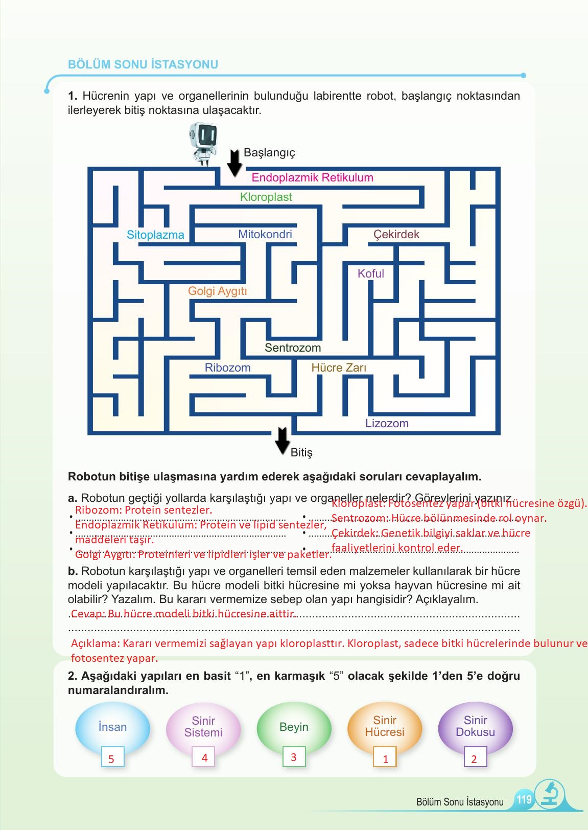 5. Sınıf Meb Yayınları Fen Bilimleri Ders Kitabı 1. Kitap Sayfa 119 Cevapları 5. Sınıf Meb Yayınları Fen Bilimleri Ders Kitabı 1. Kitap Sayfa 119 Cevapları