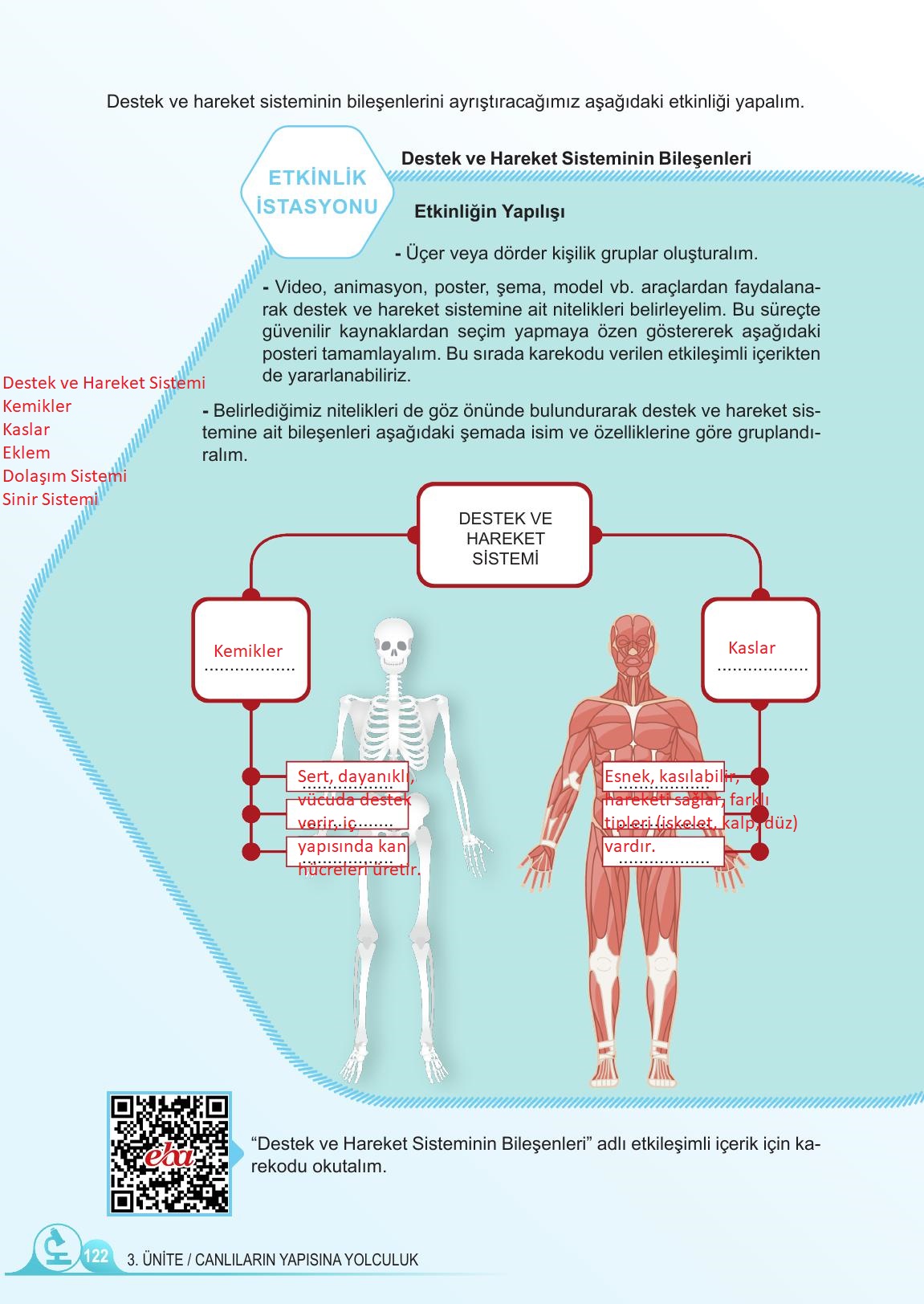 5. Sınıf Meb Yayınları Fen Bilimleri Ders Kitabı 1. Kitap Sayfa 122 Cevapları 5. Sınıf Meb Yayınları Fen Bilimleri Ders Kitabı 1. Kitap Sayfa 122 Cevapları