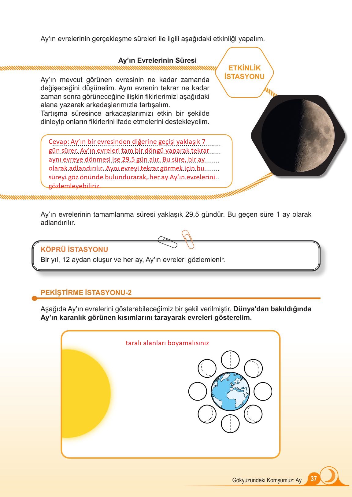 5. Sınıf Meb Yayınları Fen Bilimleri Ders Kitabı 1. Kitap Sayfa 37 Cevapları