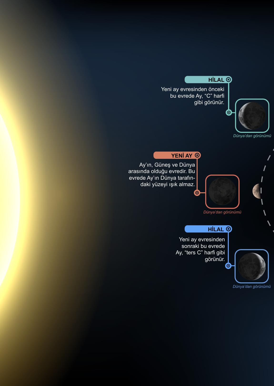 5. Sınıf Meb Yayınları Fen Bilimleri Ders Kitabı 1. Kitap Sayfa 38 Cevapları 5. Sınıf Meb Yayınları Fen Bilimleri Ders Kitabı 1. Kitap Sayfa 38 Cevapları