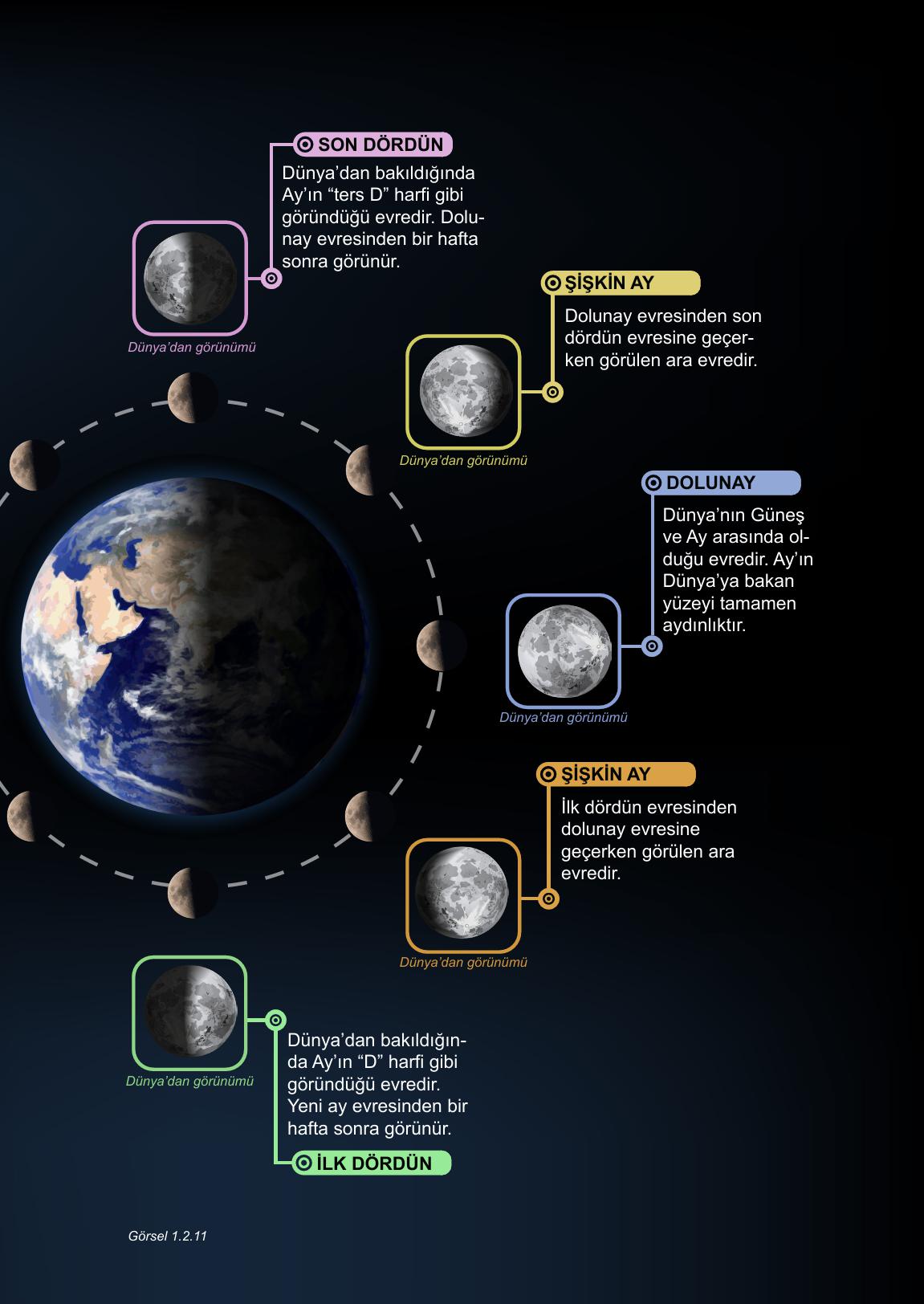 5. Sınıf Meb Yayınları Fen Bilimleri Ders Kitabı 1. Kitap Sayfa 39 Cevapları 5. Sınıf Meb Yayınları Fen Bilimleri Ders Kitabı 1. Kitap Sayfa 39 Cevapları