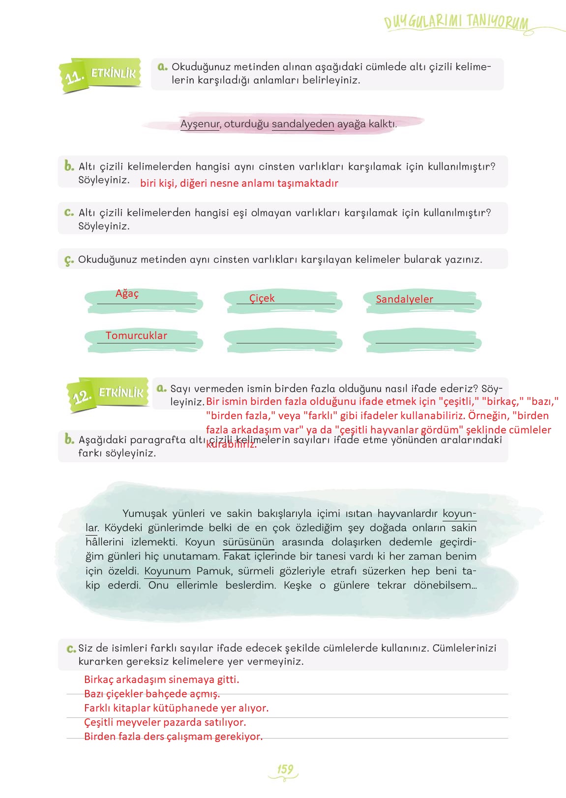 5. Sınıf Meb Yayınları Türkçe Ders Kitabı 1. Kitap Sayfa 159 Cevapları