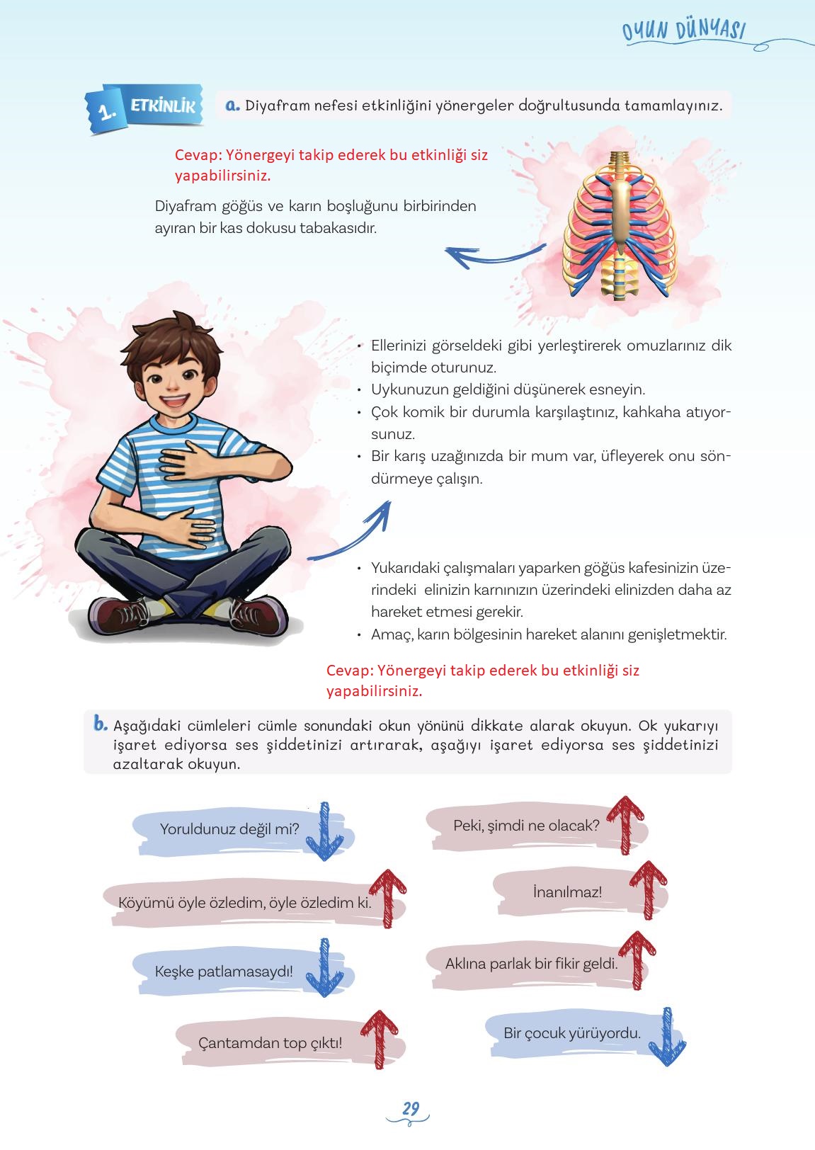 5. Sınıf Meb Yayınları Türkçe Ders Kitabı 1. Kitap Sayfa 29 Cevapları