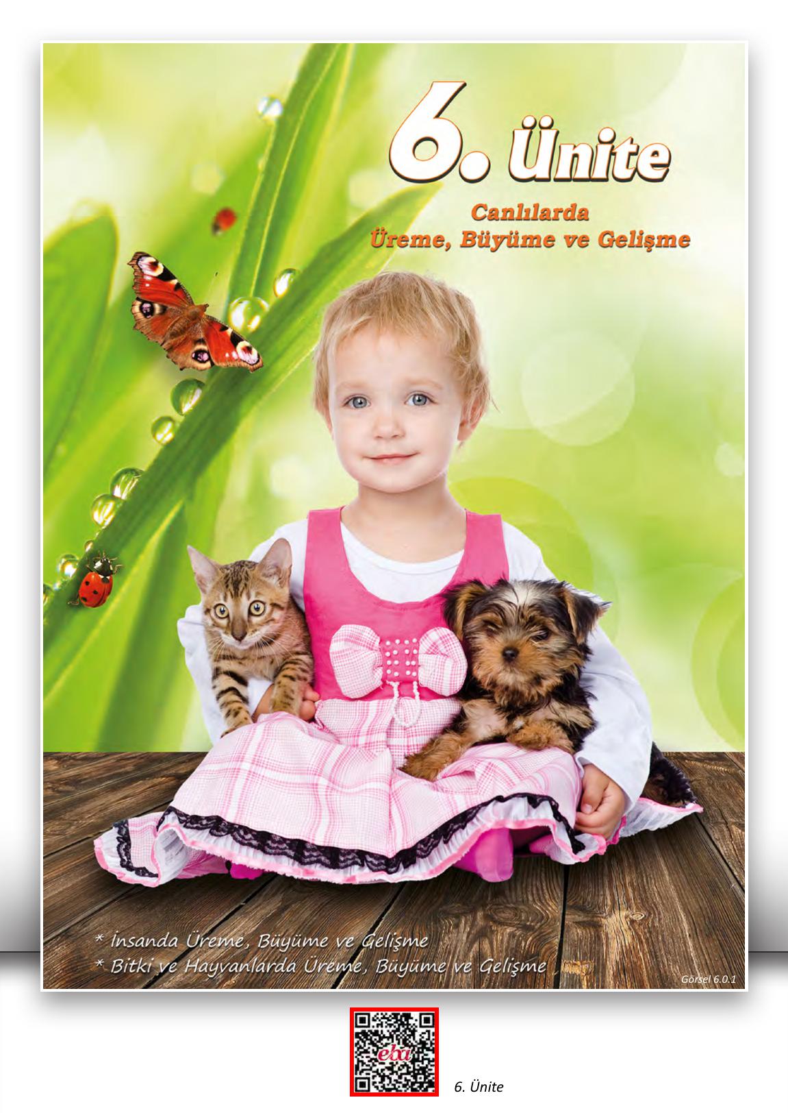 7. Sınıf Meb Yayınları Fen Bilimleri Ders Kitabı Sayfa 179 Cevapları 7. Sınıf Meb Yayınları Fen Bilimleri Ders Kitabı Sayfa 179 Cevapları