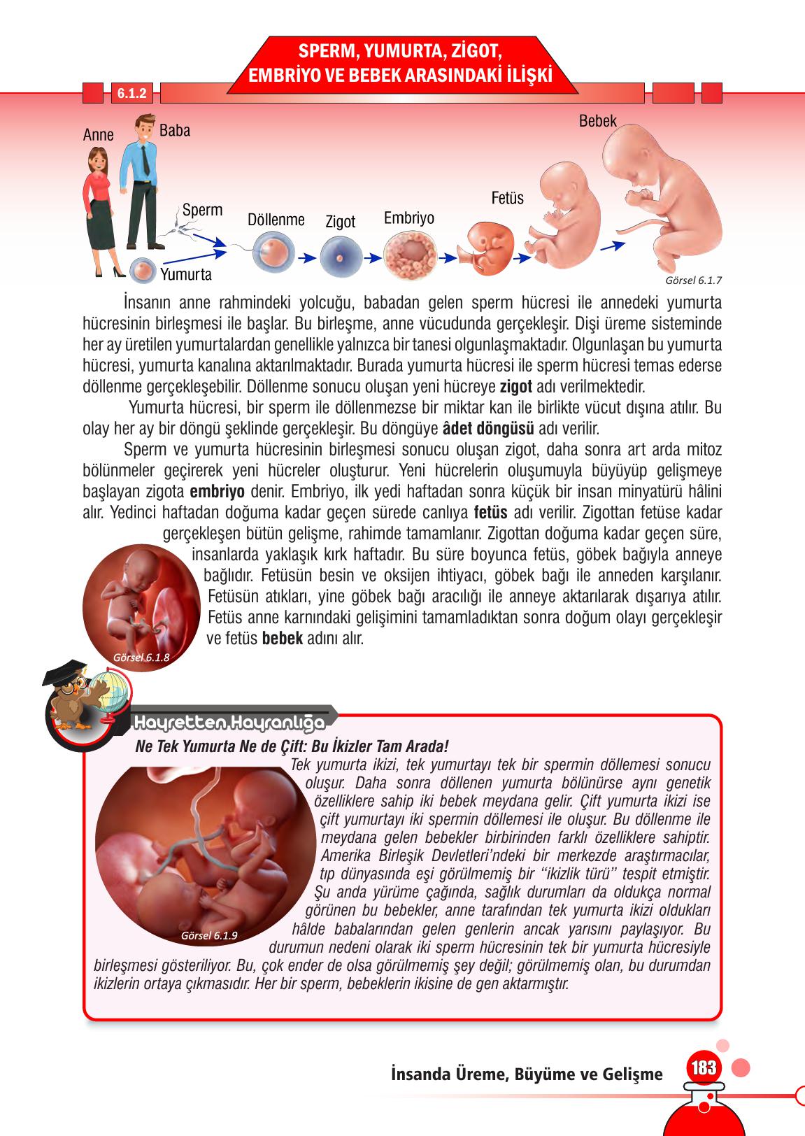 7. Sınıf Meb Yayınları Fen Bilimleri Ders Kitabı Sayfa 183 Cevapları