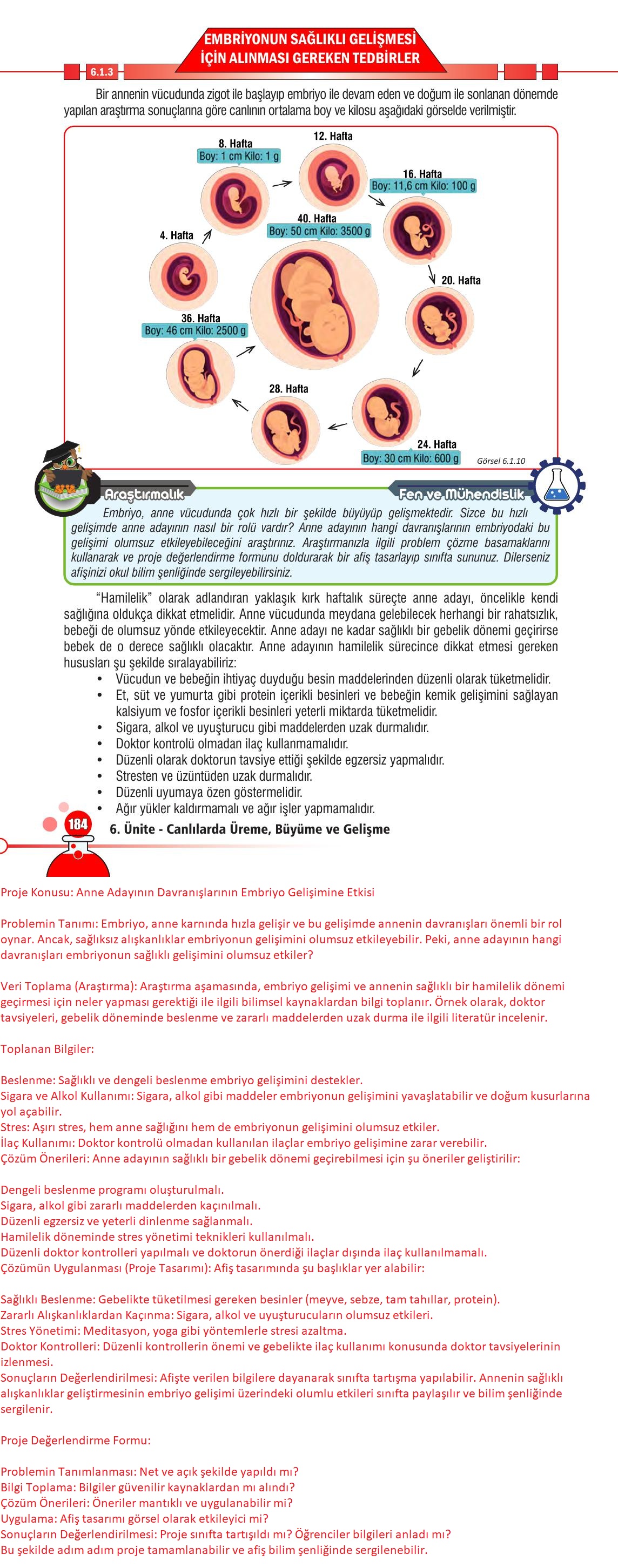 7. Sınıf Meb Yayınları Fen Bilimleri Ders Kitabı Sayfa 184 Cevapları