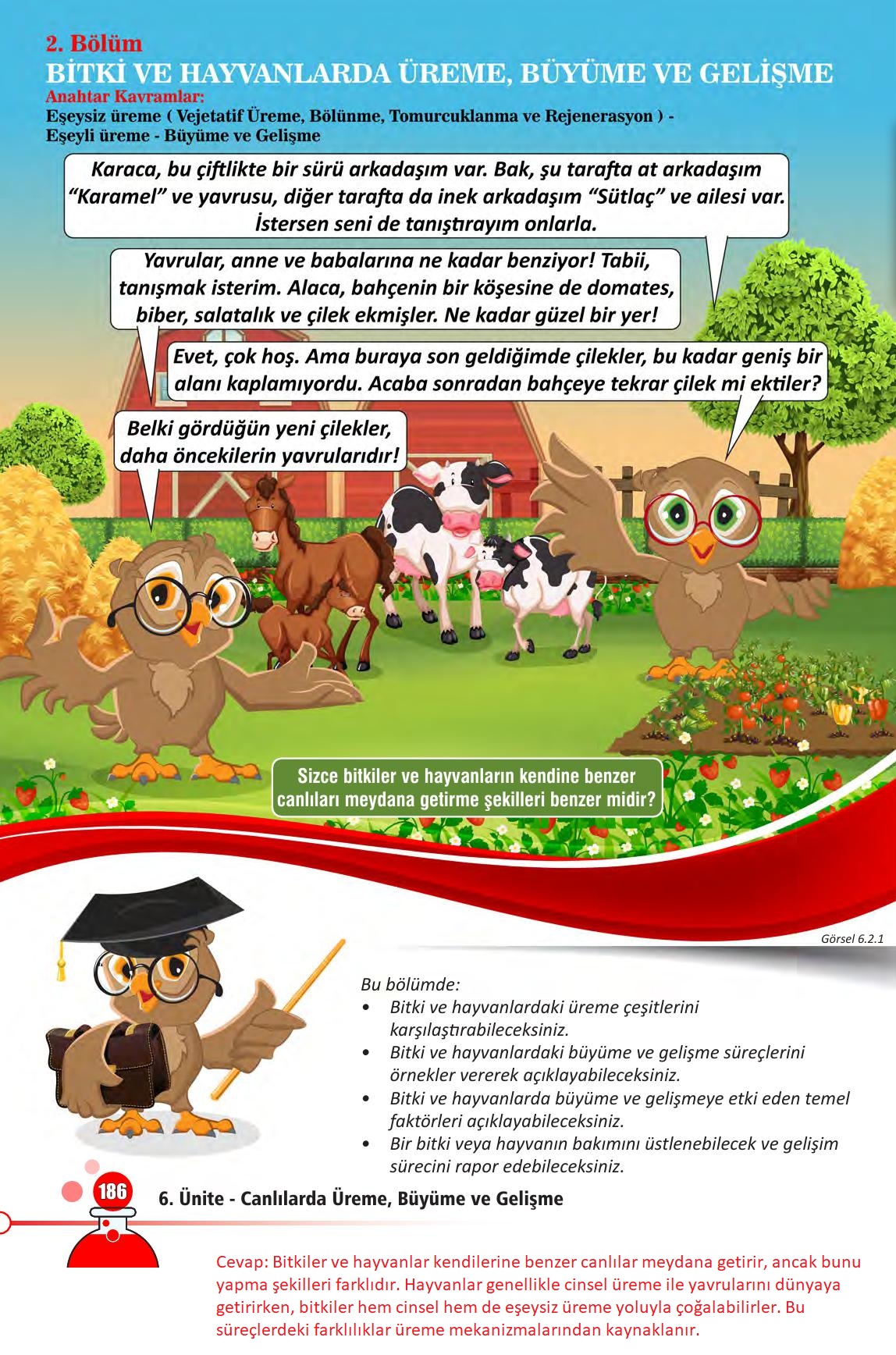 7. Sınıf Meb Yayınları Fen Bilimleri Ders Kitabı Sayfa 186 Cevapları 7. Sınıf Meb Yayınları Fen Bilimleri Ders Kitabı Sayfa 186 Cevapları