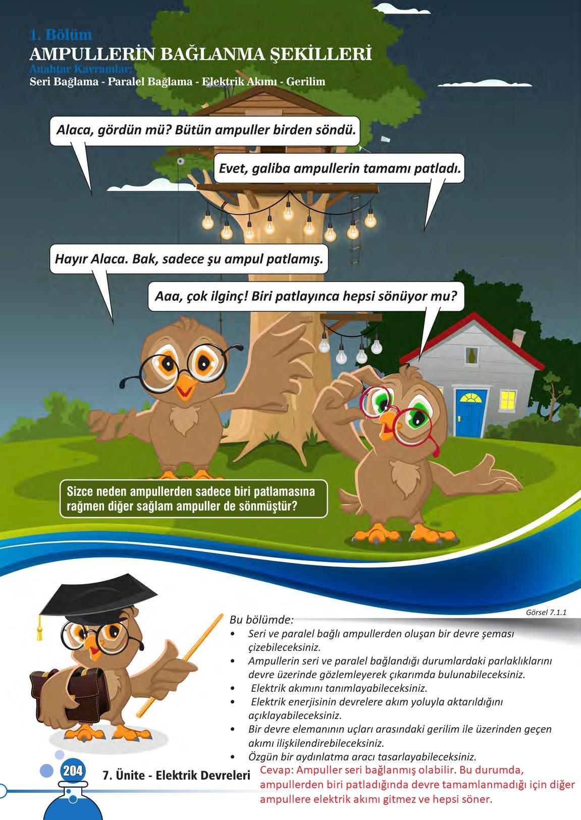 7. Sınıf Meb Yayınları Fen Bilimleri Ders Kitabı Sayfa 204 Cevapları 7. Sınıf Meb Yayınları Fen Bilimleri Ders Kitabı Sayfa 204 Cevapları