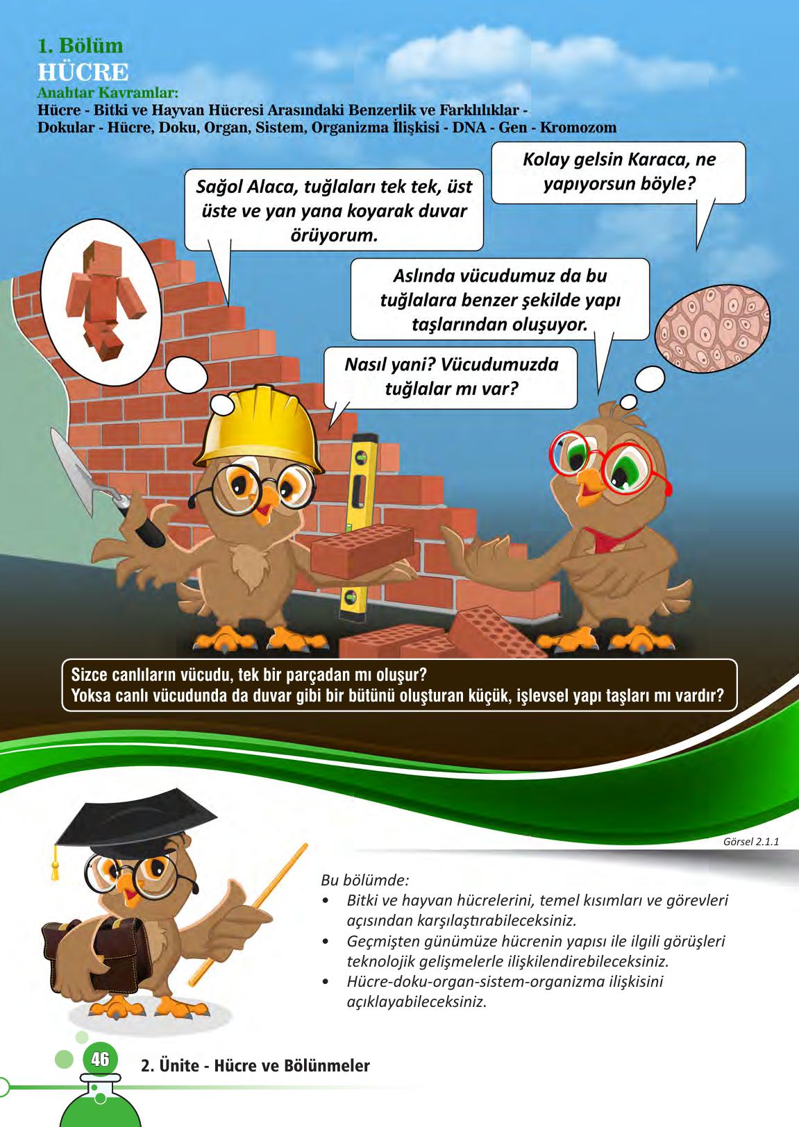 7. Sınıf Meb Yayınları Fen Bilimleri Ders Kitabı Sayfa 46 Cevapları