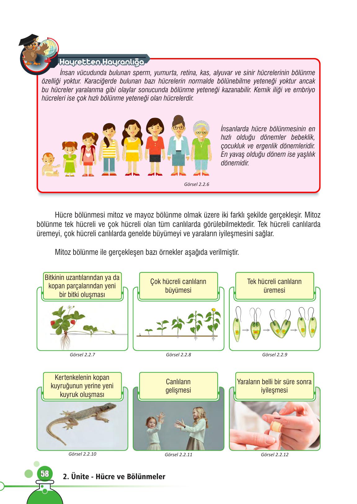 7. Sınıf Meb Yayınları Fen Bilimleri Ders Kitabı Sayfa 58 Cevapları 7. Sınıf Meb Yayınları Fen Bilimleri Ders Kitabı Sayfa 58 Cevapları