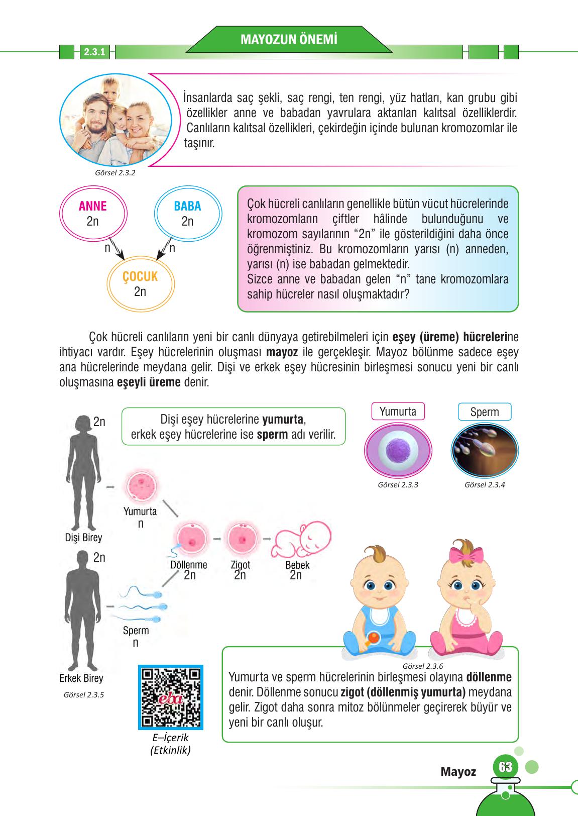 7. Sınıf Meb Yayınları Fen Bilimleri Ders Kitabı Sayfa 63 Cevapları 7. Sınıf Meb Yayınları Fen Bilimleri Ders Kitabı Sayfa 63 Cevapları