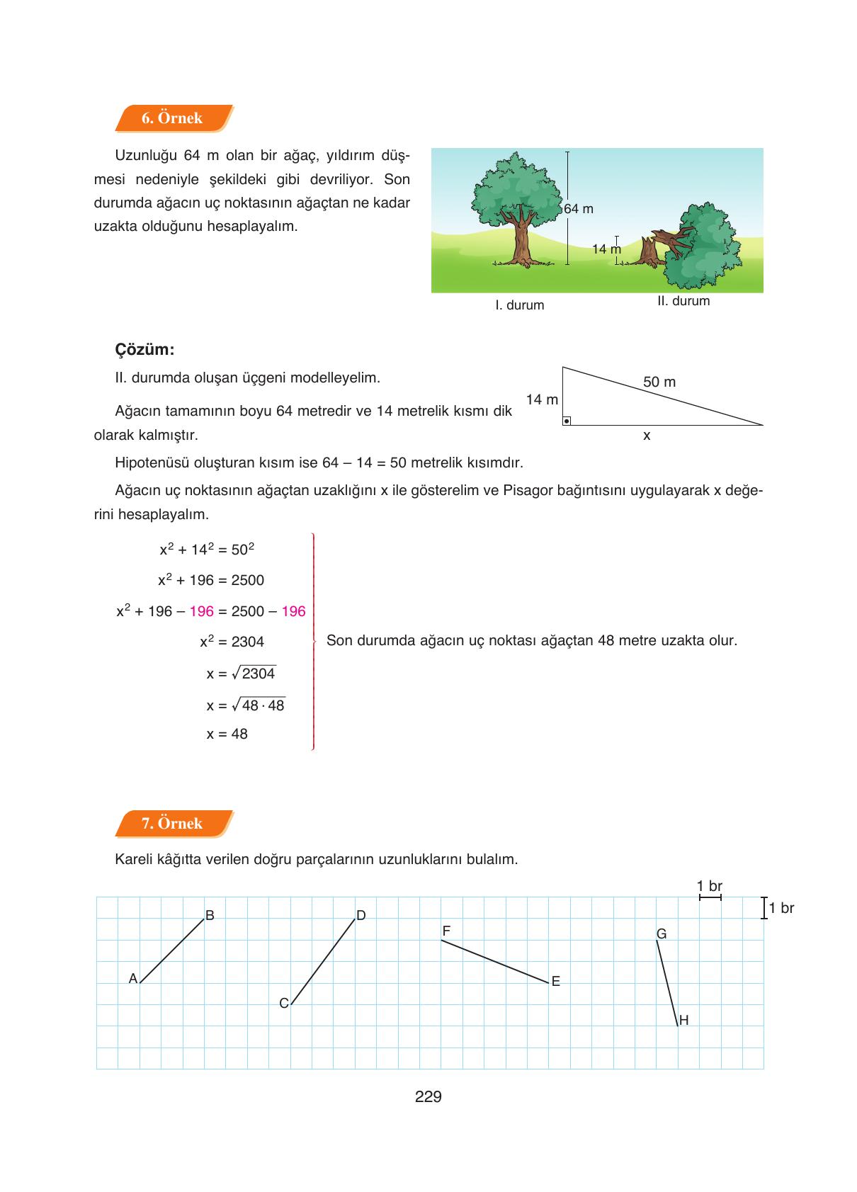 8. Sınıf Ada Yayıncılık Matematik Ders Kitabı Sayfa 229 Cevapları
