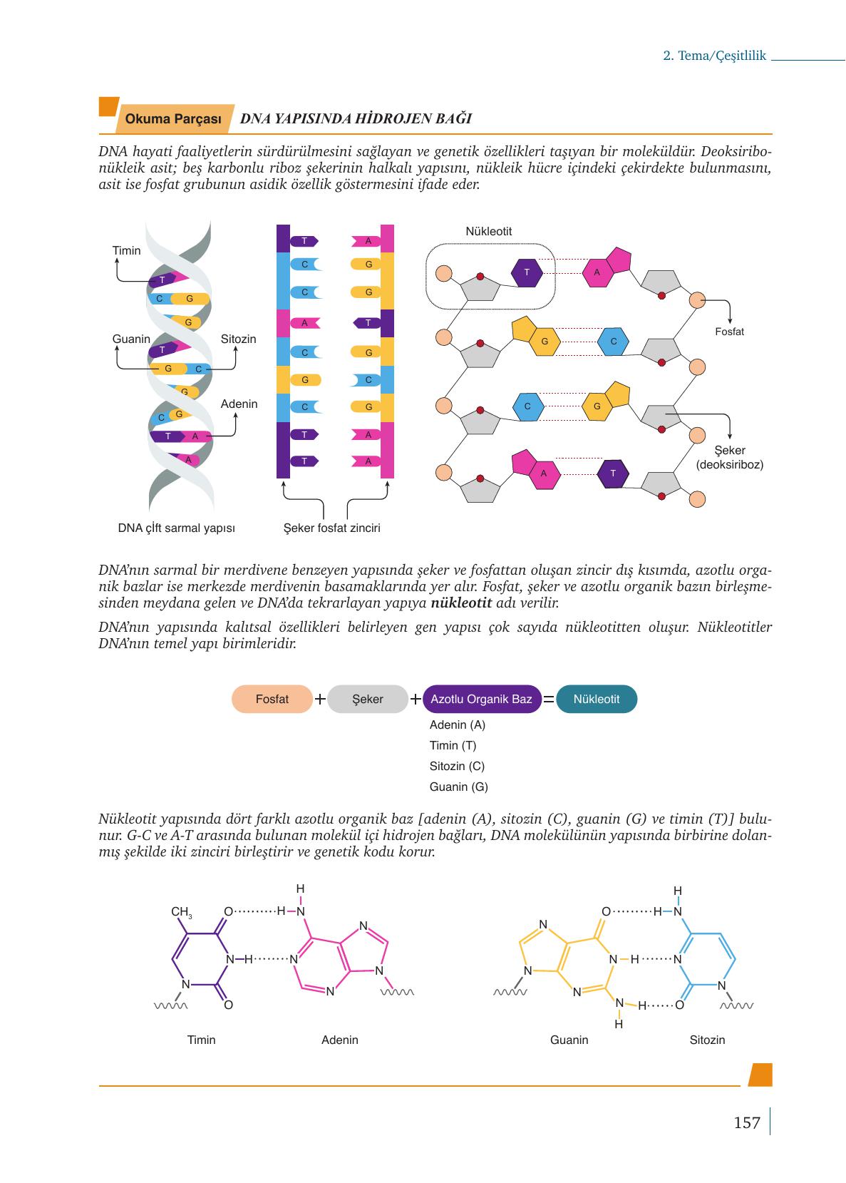 9. Sınıf Meb Yayınları Kimya Ders Kitabı Sayfa 157 Cevapları 9. Sınıf Meb Yayınları Kimya Ders Kitabı Sayfa 157 Cevapları