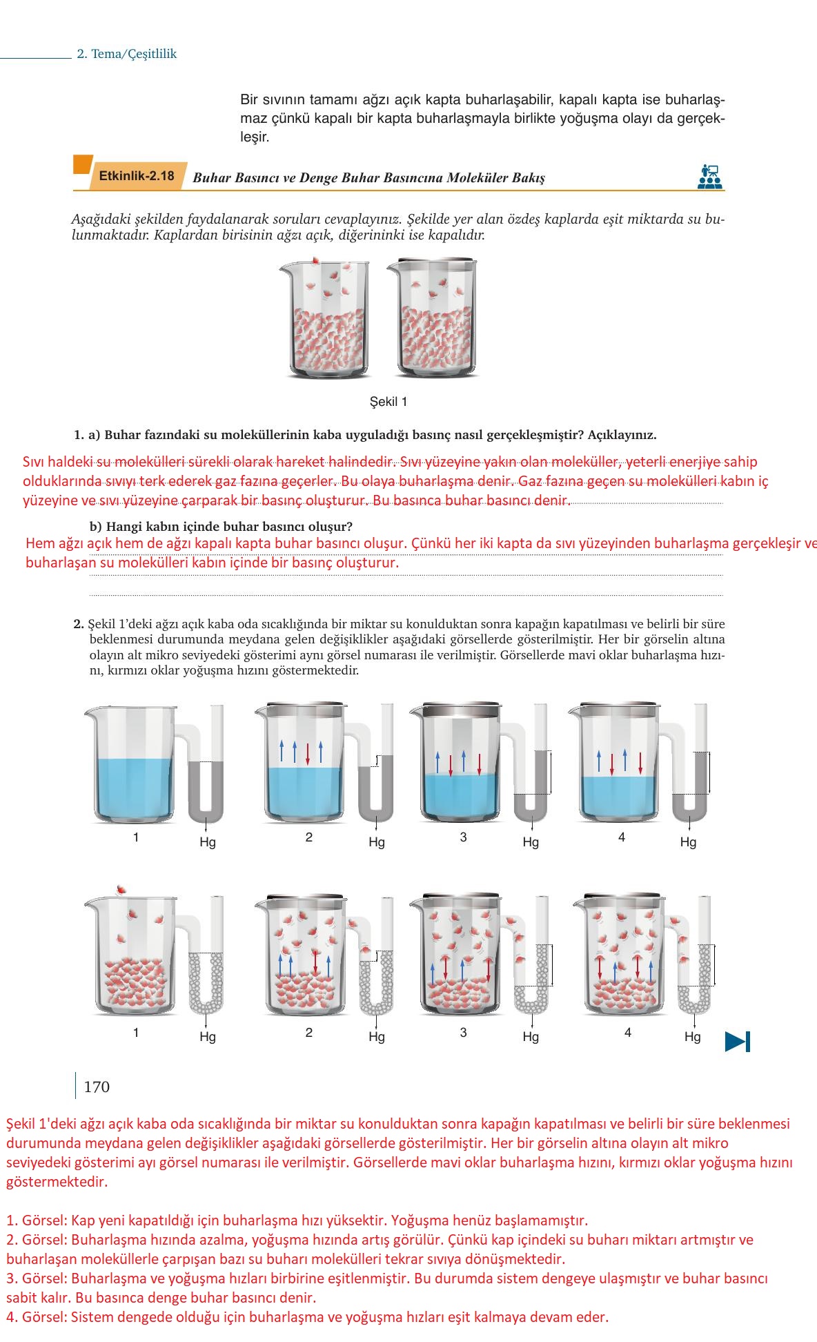 9. Sınıf Meb Yayınları Kimya Ders Kitabı Sayfa 170 Cevapları