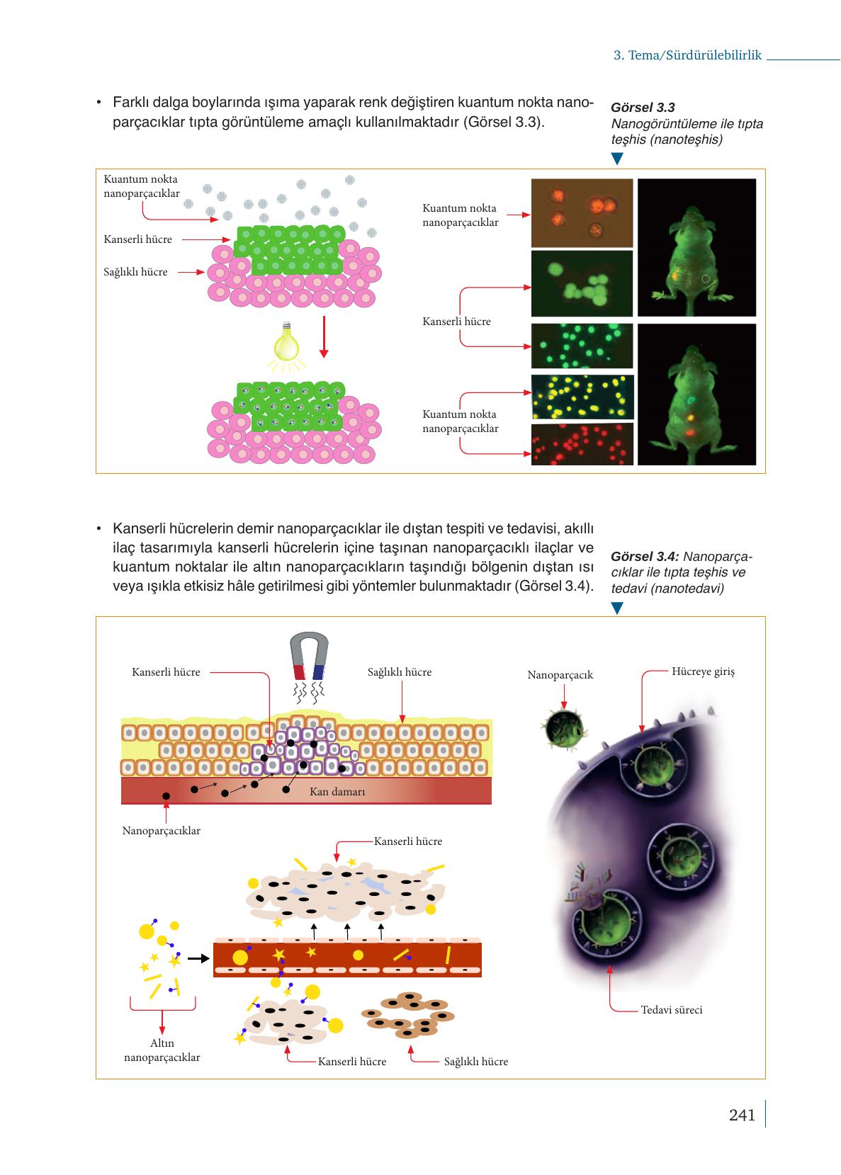 9. Sınıf Meb Yayınları Kimya Ders Kitabı Sayfa 241 Cevapları
