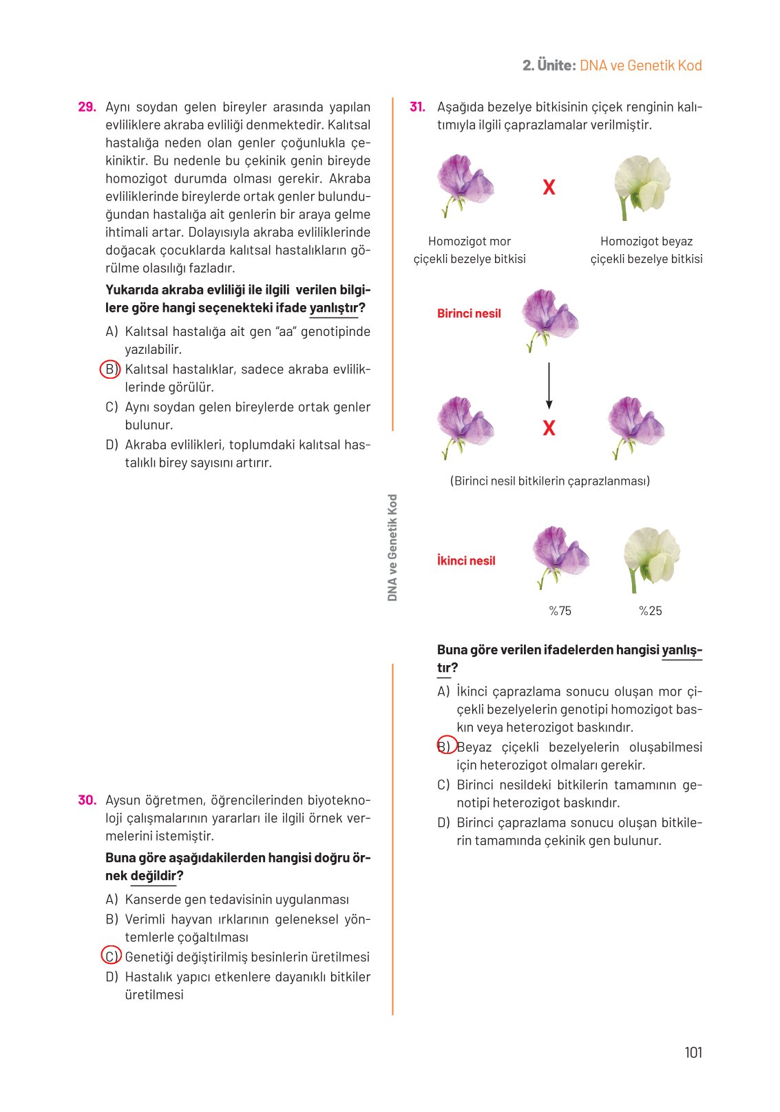 8. Sınıf Hecce Yayıncılık Fen Bilimleri Ders Kitabı Sayfa 101 Cevapları