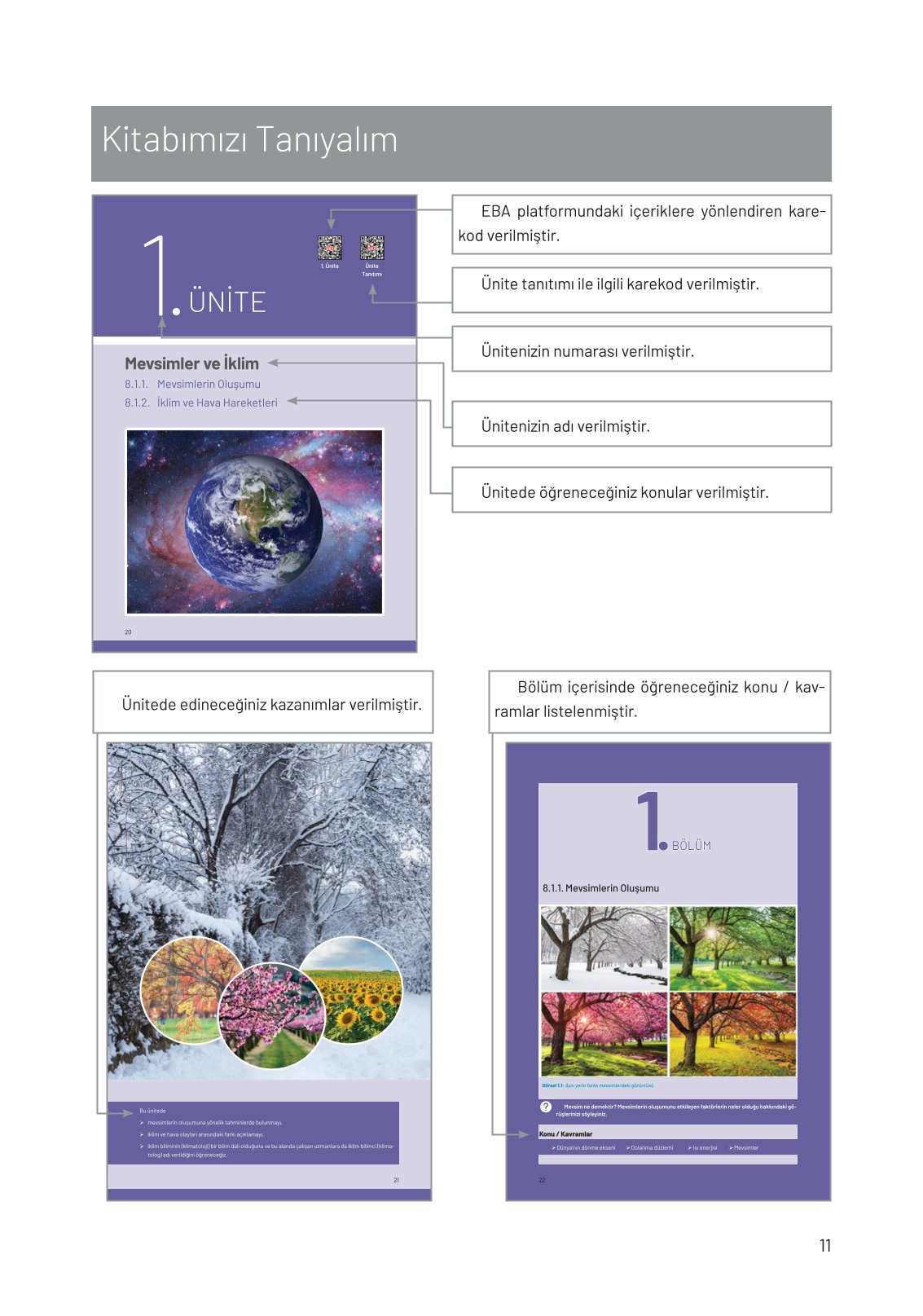 8. Sınıf Hecce Yayıncılık Fen Bilimleri Ders Kitabı Sayfa 11 Cevapları