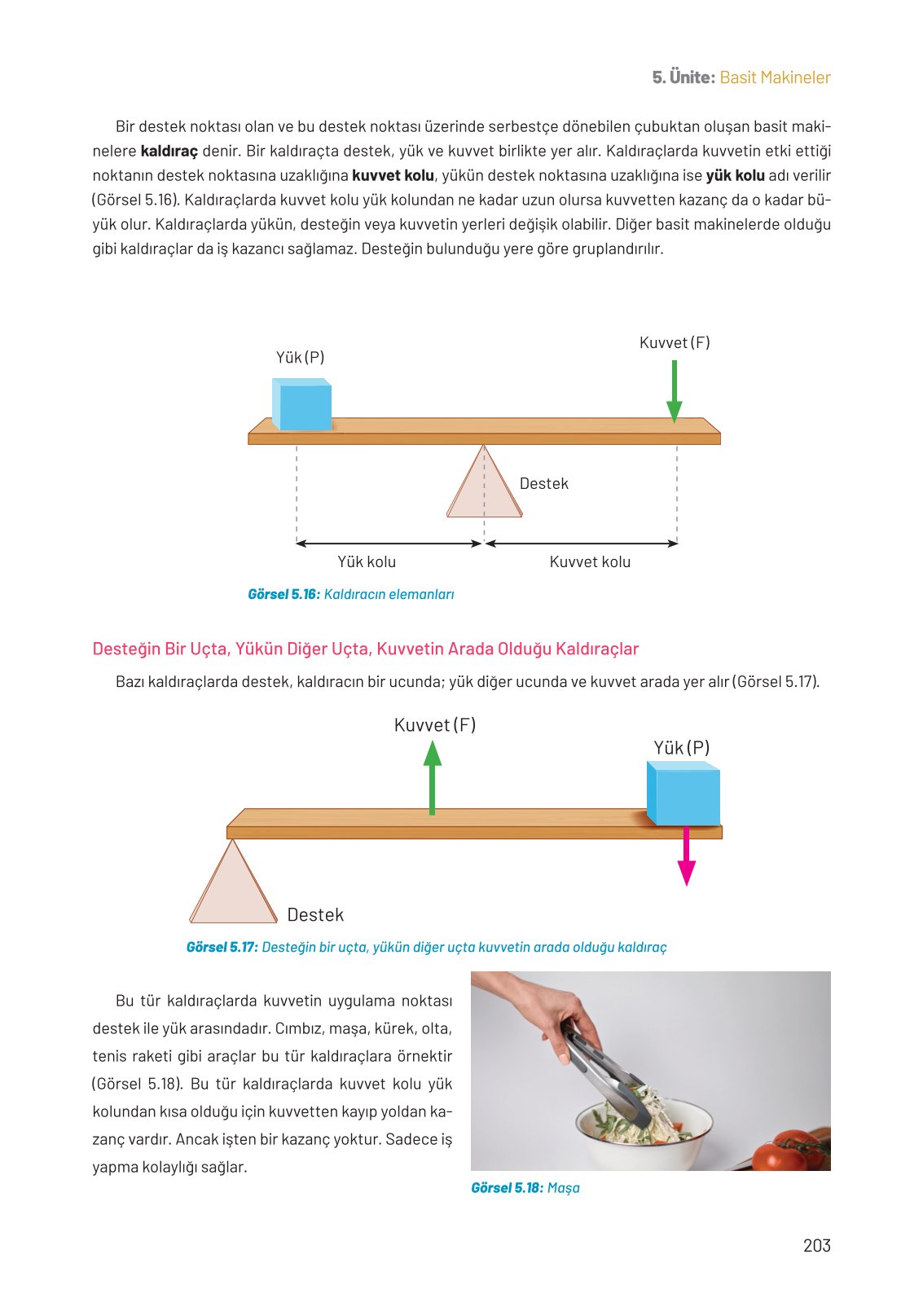 8. Sınıf Hecce Yayıncılık Fen Bilimleri Ders Kitabı Sayfa 203 Cevapları