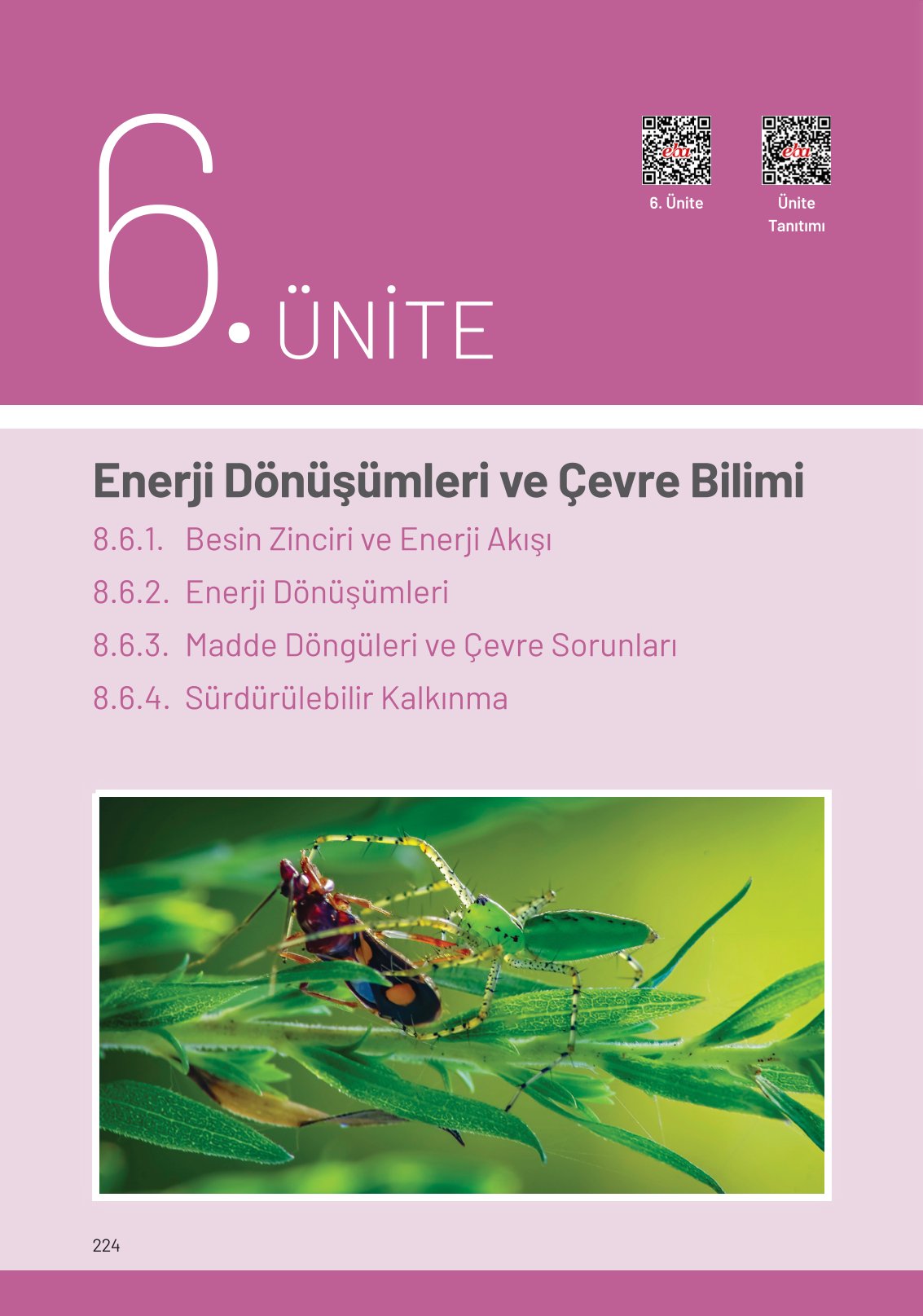8. Sınıf Hecce Yayıncılık Fen Bilimleri Ders Kitabı Sayfa 224 Cevapları