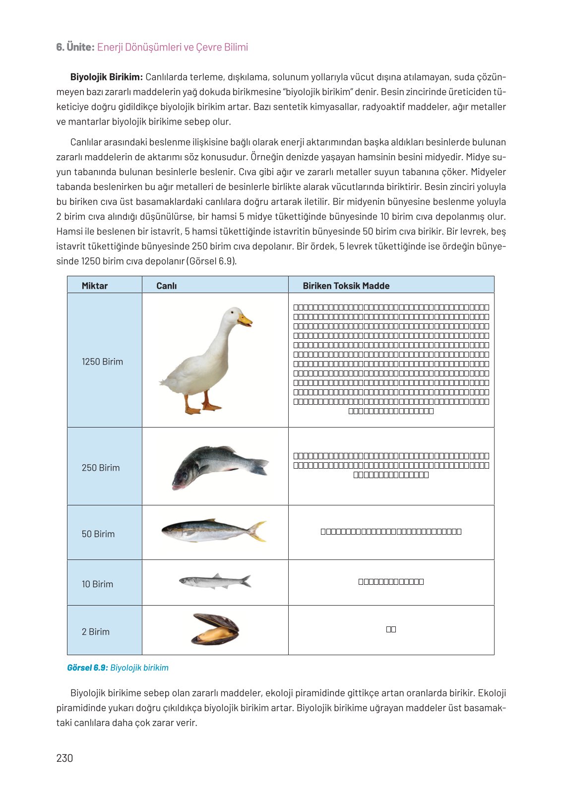 8. Sınıf Hecce Yayıncılık Fen Bilimleri Ders Kitabı Sayfa 230 Cevapları
