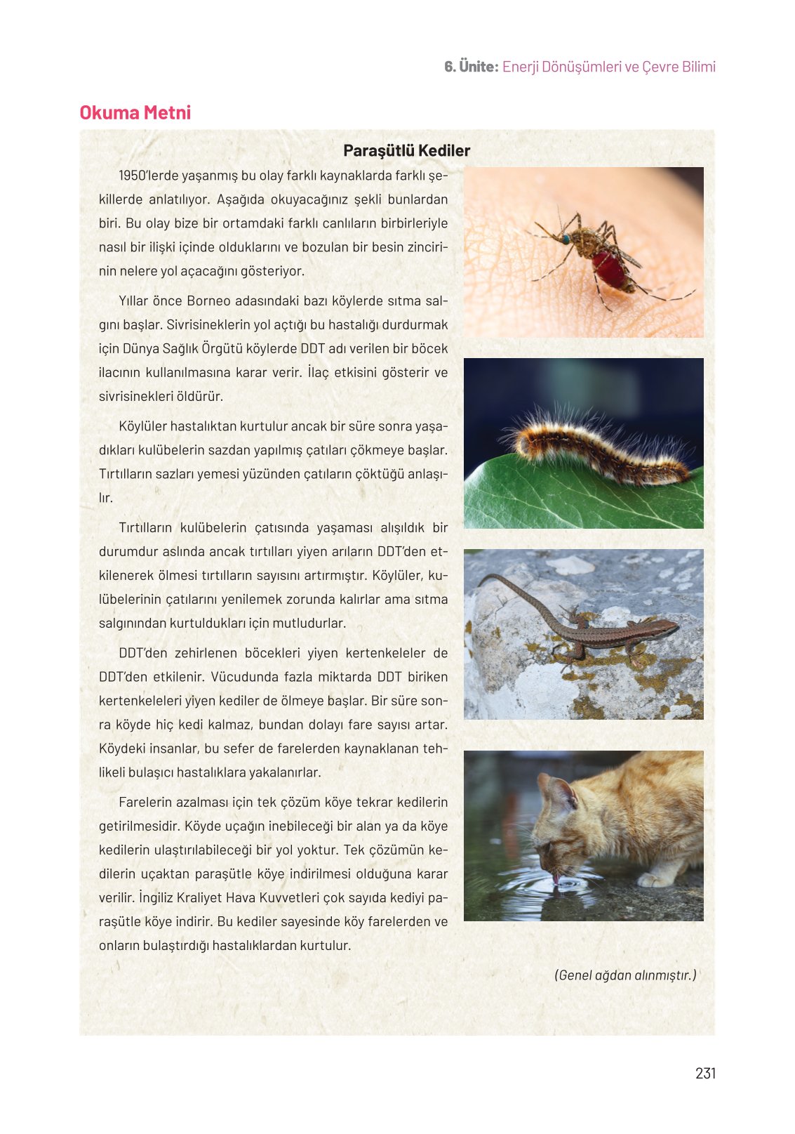 8. Sınıf Hecce Yayıncılık Fen Bilimleri Ders Kitabı Sayfa 231 Cevapları 8. Sınıf Hecce Yayıncılık Fen Bilimleri Ders Kitabı Sayfa 231 Cevapları