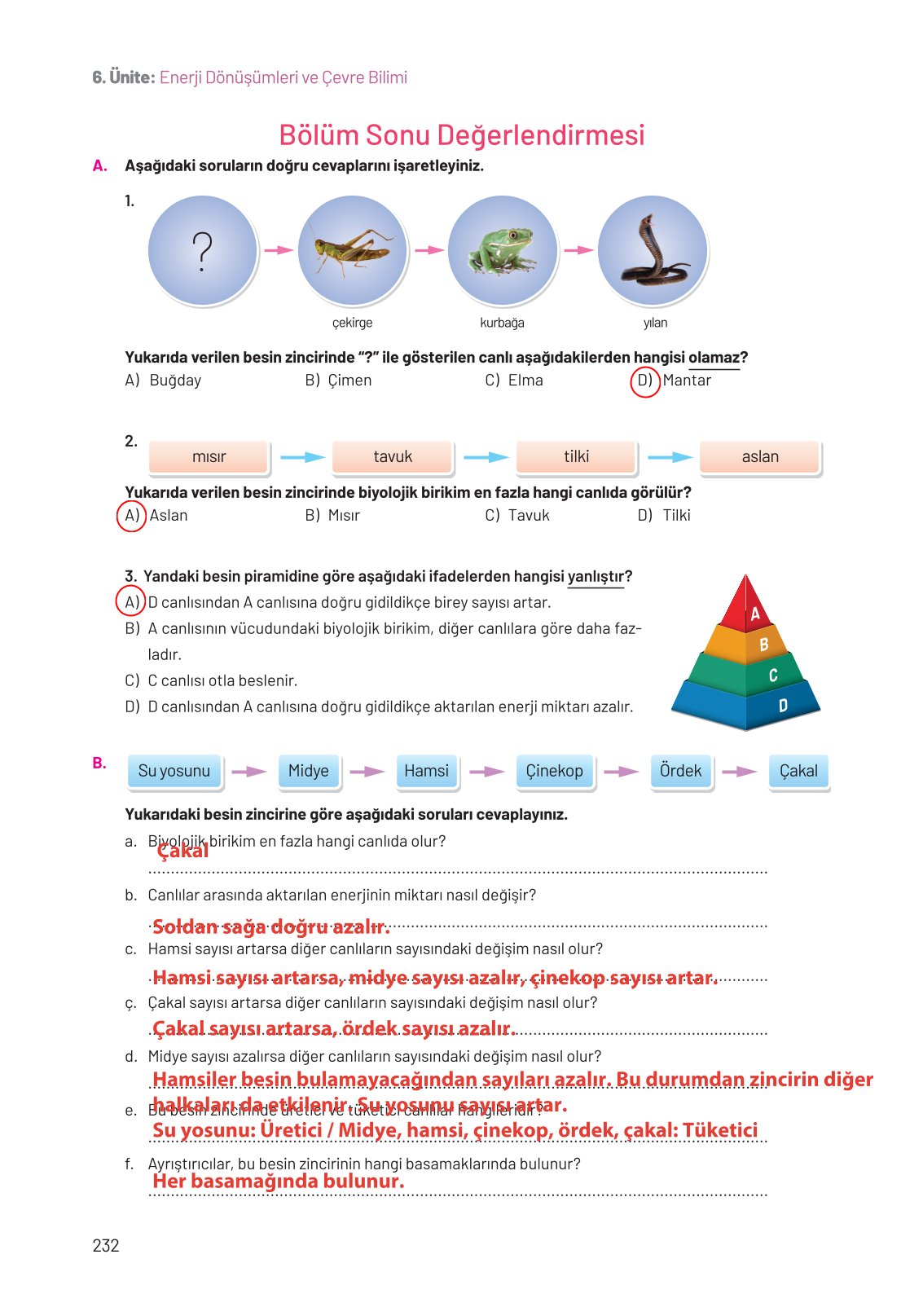 8. Sınıf Hecce Yayıncılık Fen Bilimleri Ders Kitabı Sayfa 232 Cevapları 8. Sınıf Hecce Yayıncılık Fen Bilimleri Ders Kitabı Sayfa 232 Cevapları
