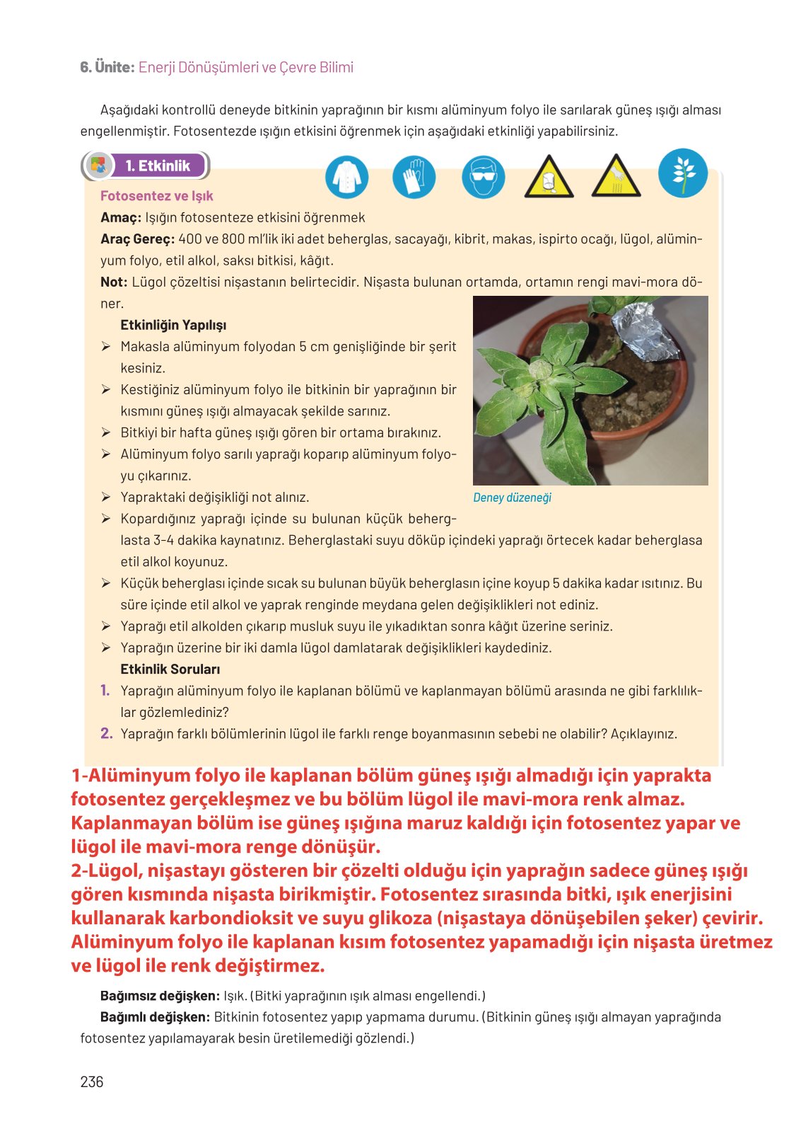 8. Sınıf Hecce Yayıncılık Fen Bilimleri Ders Kitabı Sayfa 236 Cevapları 8. Sınıf Hecce Yayıncılık Fen Bilimleri Ders Kitabı Sayfa 236 Cevapları