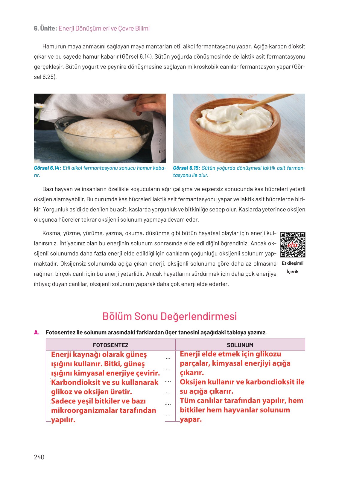 8. Sınıf Hecce Yayıncılık Fen Bilimleri Ders Kitabı Sayfa 240 Cevapları