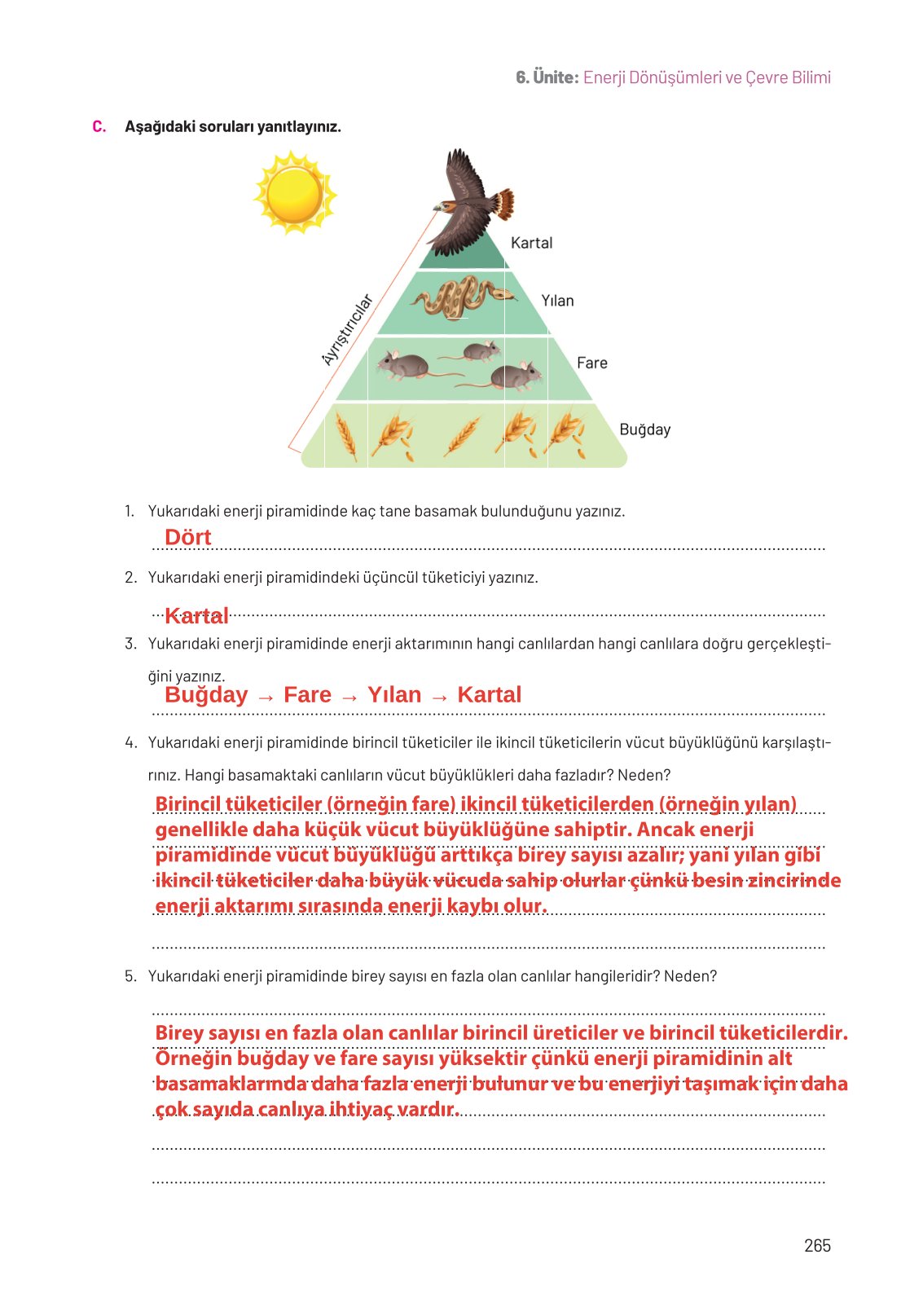8. Sınıf Hecce Yayıncılık Fen Bilimleri Ders Kitabı Sayfa 265 Cevapları