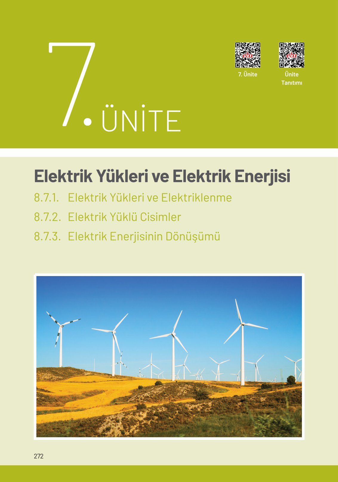 8. Sınıf Hecce Yayıncılık Fen Bilimleri Ders Kitabı Sayfa 272 Cevapları