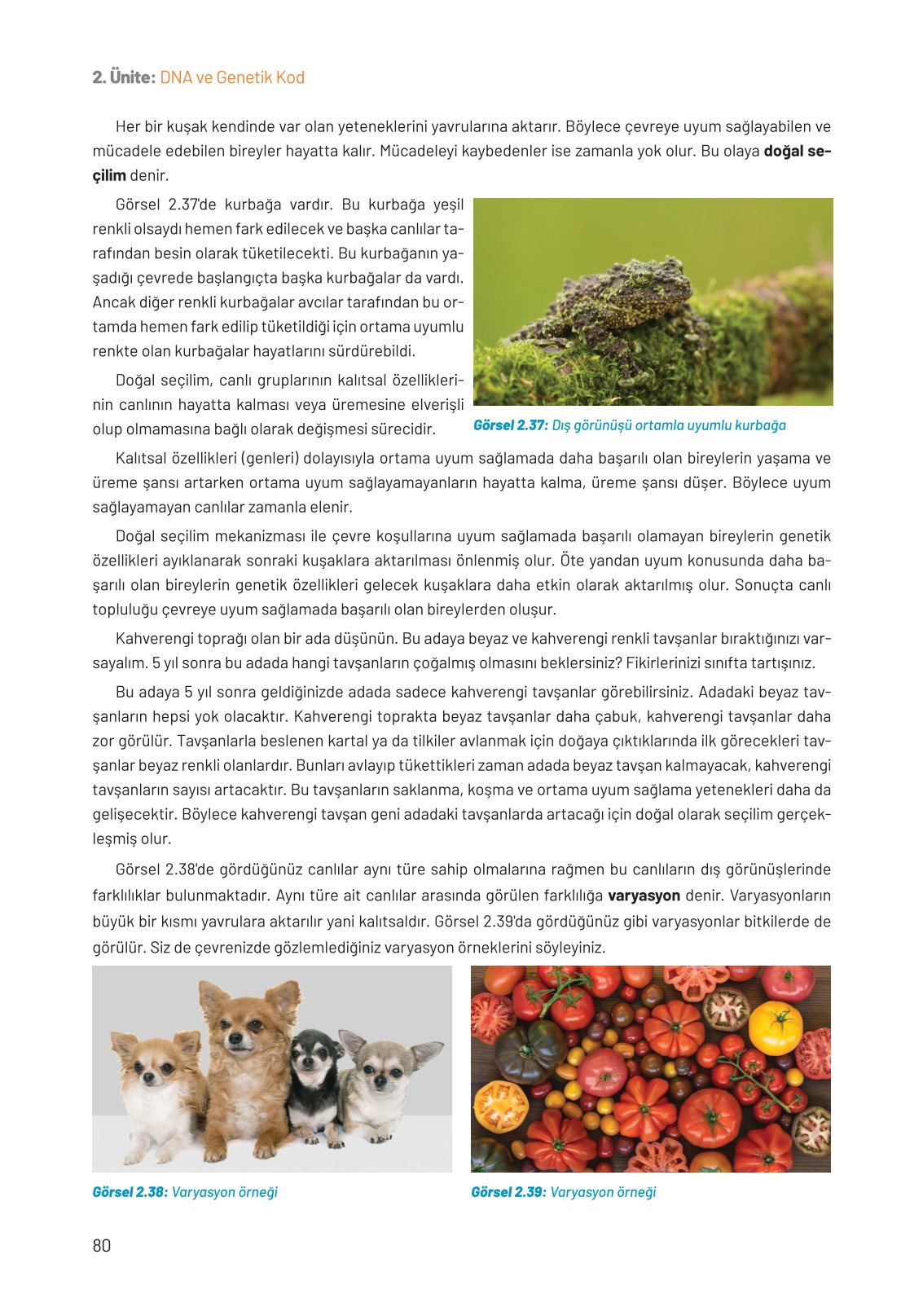 8. Sınıf Hecce Yayıncılık Fen Bilimleri Ders Kitabı Sayfa 80 Cevapları 8. Sınıf Hecce Yayıncılık Fen Bilimleri Ders Kitabı Sayfa 80 Cevapları