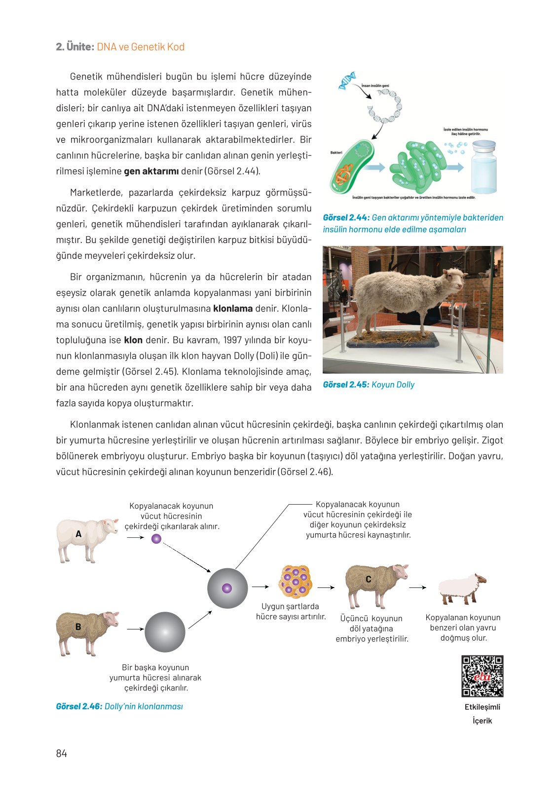 8. Sınıf Hecce Yayıncılık Fen Bilimleri Ders Kitabı Sayfa 84 Cevapları 8. Sınıf Hecce Yayıncılık Fen Bilimleri Ders Kitabı Sayfa 84 Cevapları