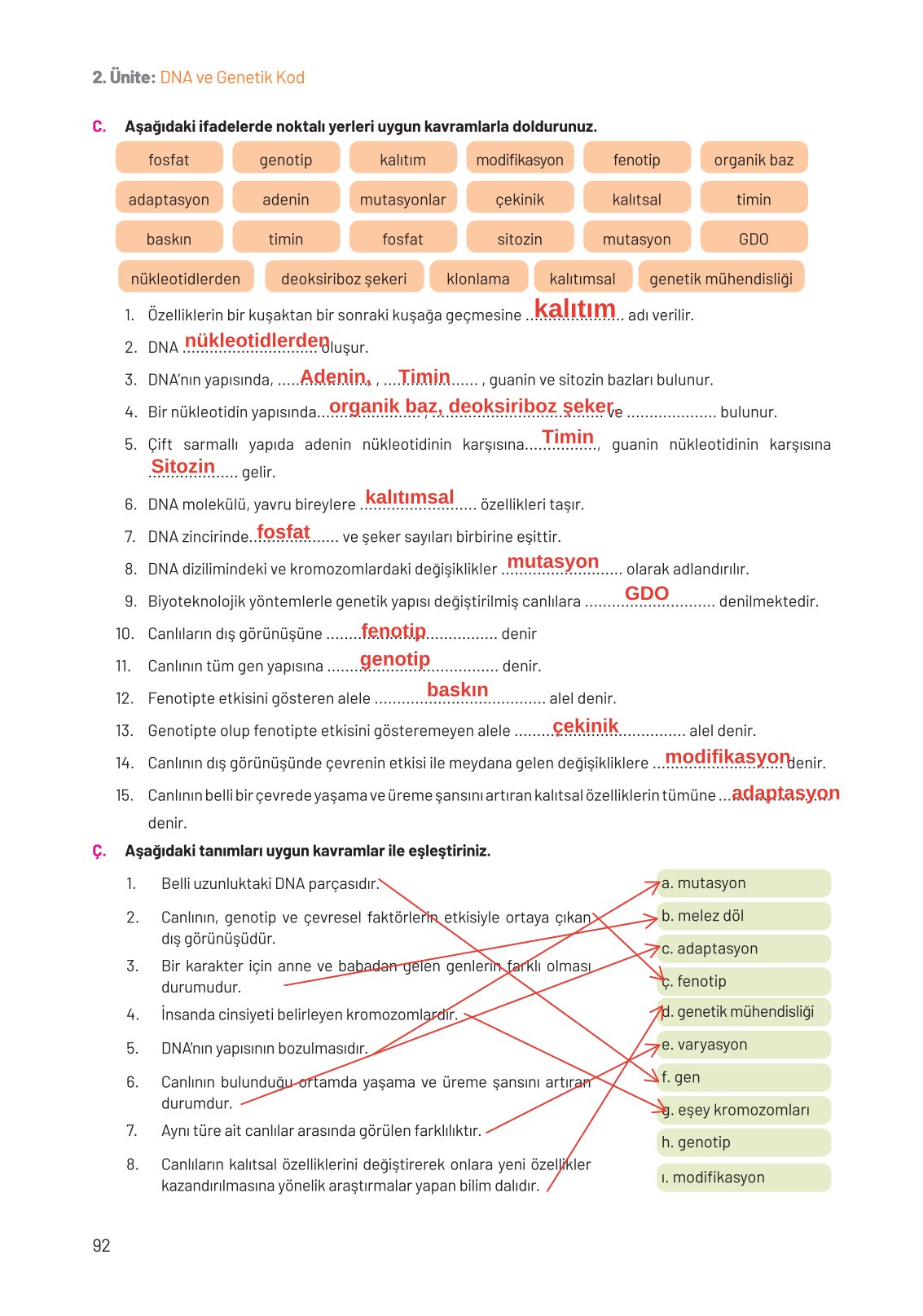 8. Sınıf Hecce Yayıncılık Fen Bilimleri Ders Kitabı Sayfa 92 Cevapları
