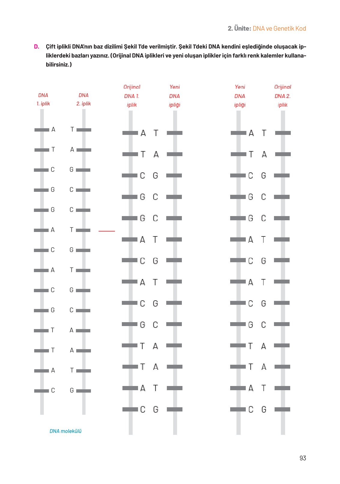 8. Sınıf Hecce Yayıncılık Fen Bilimleri Ders Kitabı Sayfa 93 Cevapları 8. Sınıf Hecce Yayıncılık Fen Bilimleri Ders Kitabı Sayfa 93 Cevapları