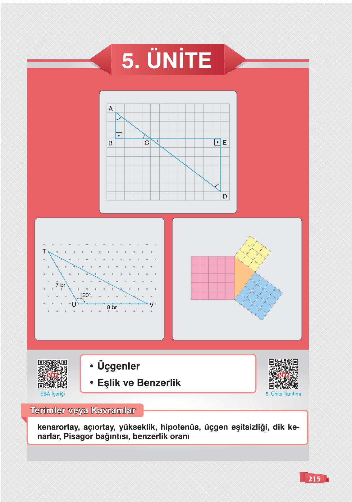 8. Sınıf Sonuç Yayınları Matematik Ders Kitabı Sayfa 215 Cevapları