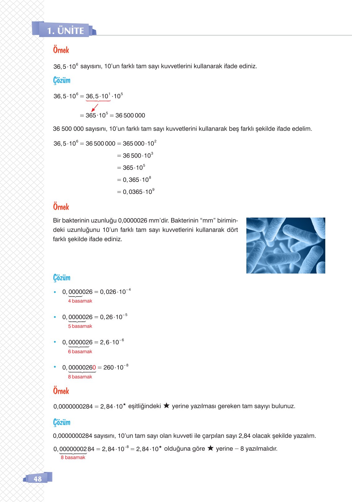 8. Sınıf Sonuç Yayınları Matematik Ders Kitabı Sayfa 48 Cevapları