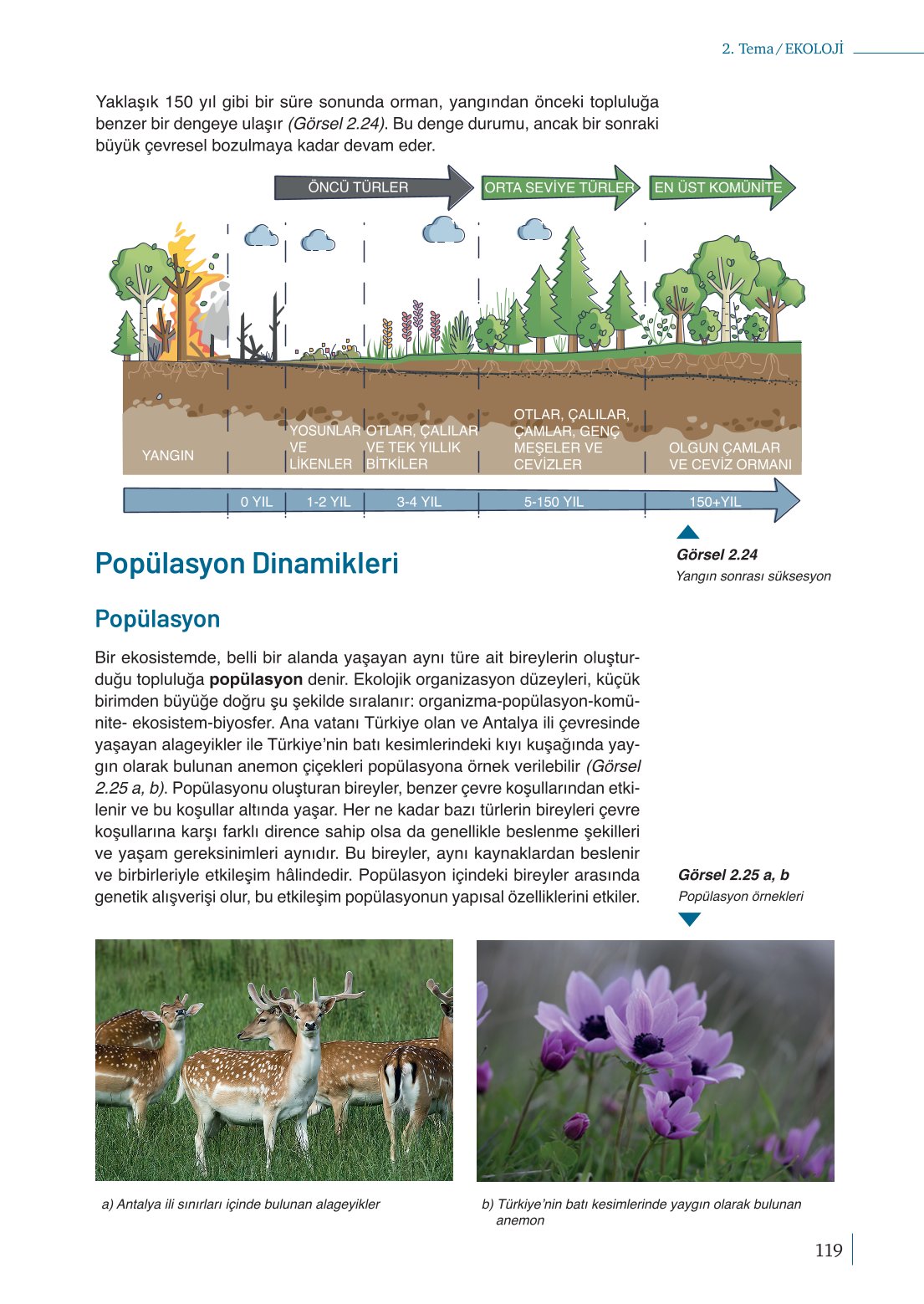 10. Sınıf Meb Yayınları Biyoloji Ders Kitabı Sayfa 119 Cevapları